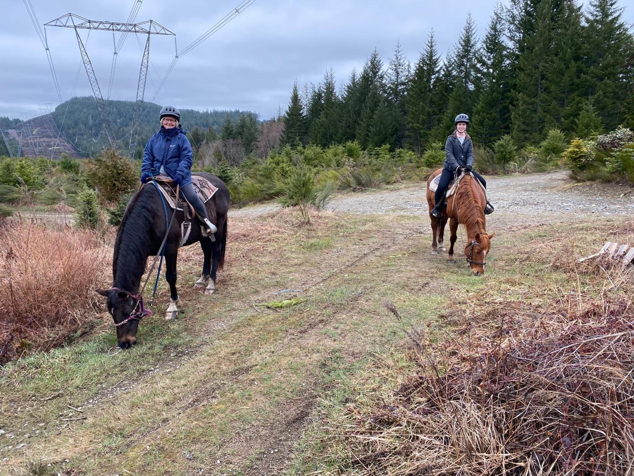 Maple Heart Ranch photo 7