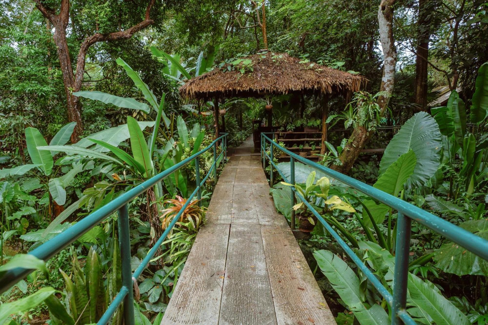 Khao Sok Riverside Cottages photo 6