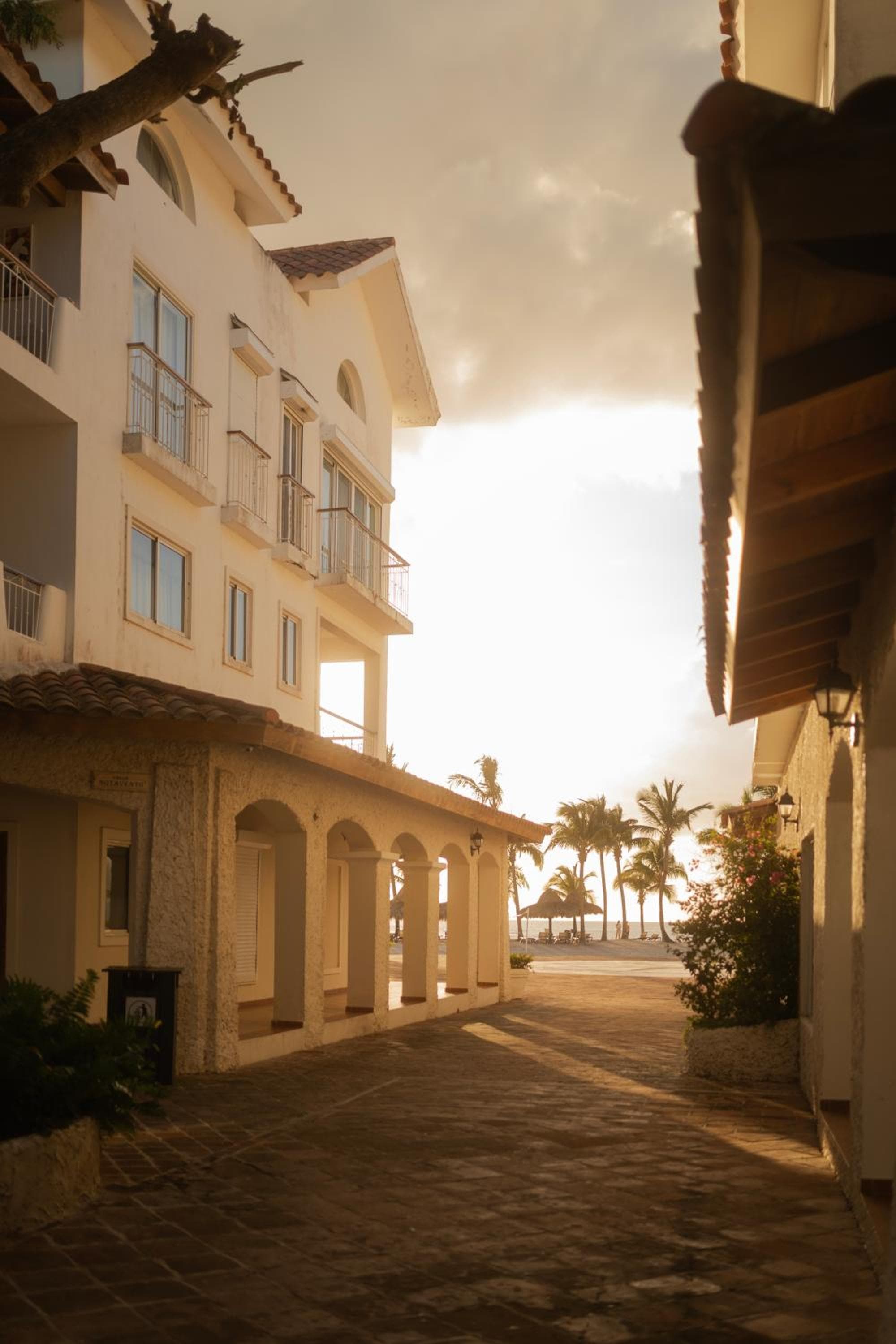 Apartment in Dominicus photo 3