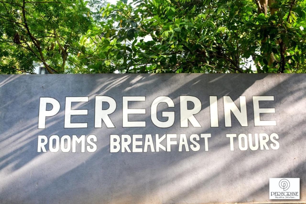 PEREGRINE Villa photo 9