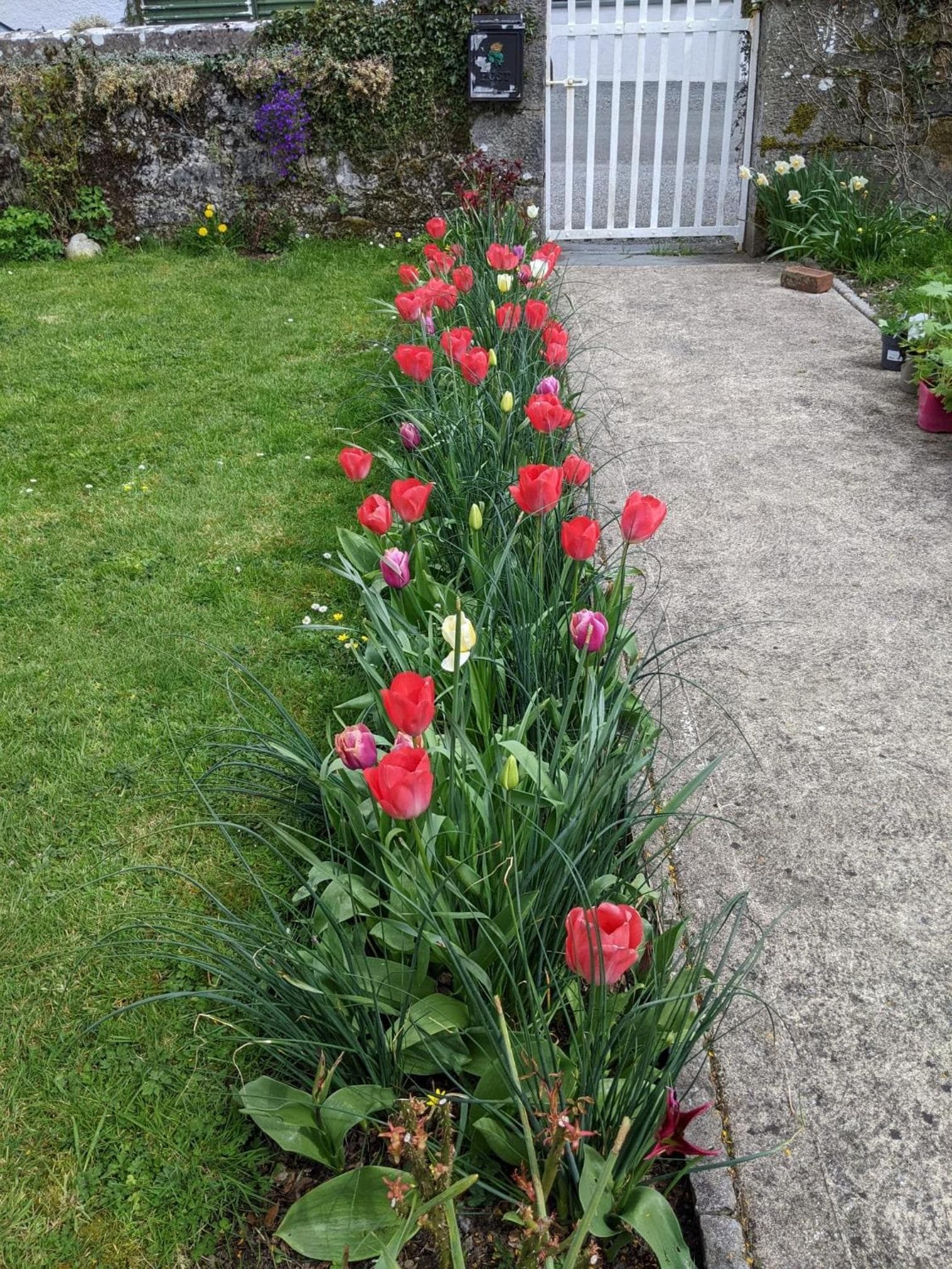 Desart School Garden Chalet photo 9