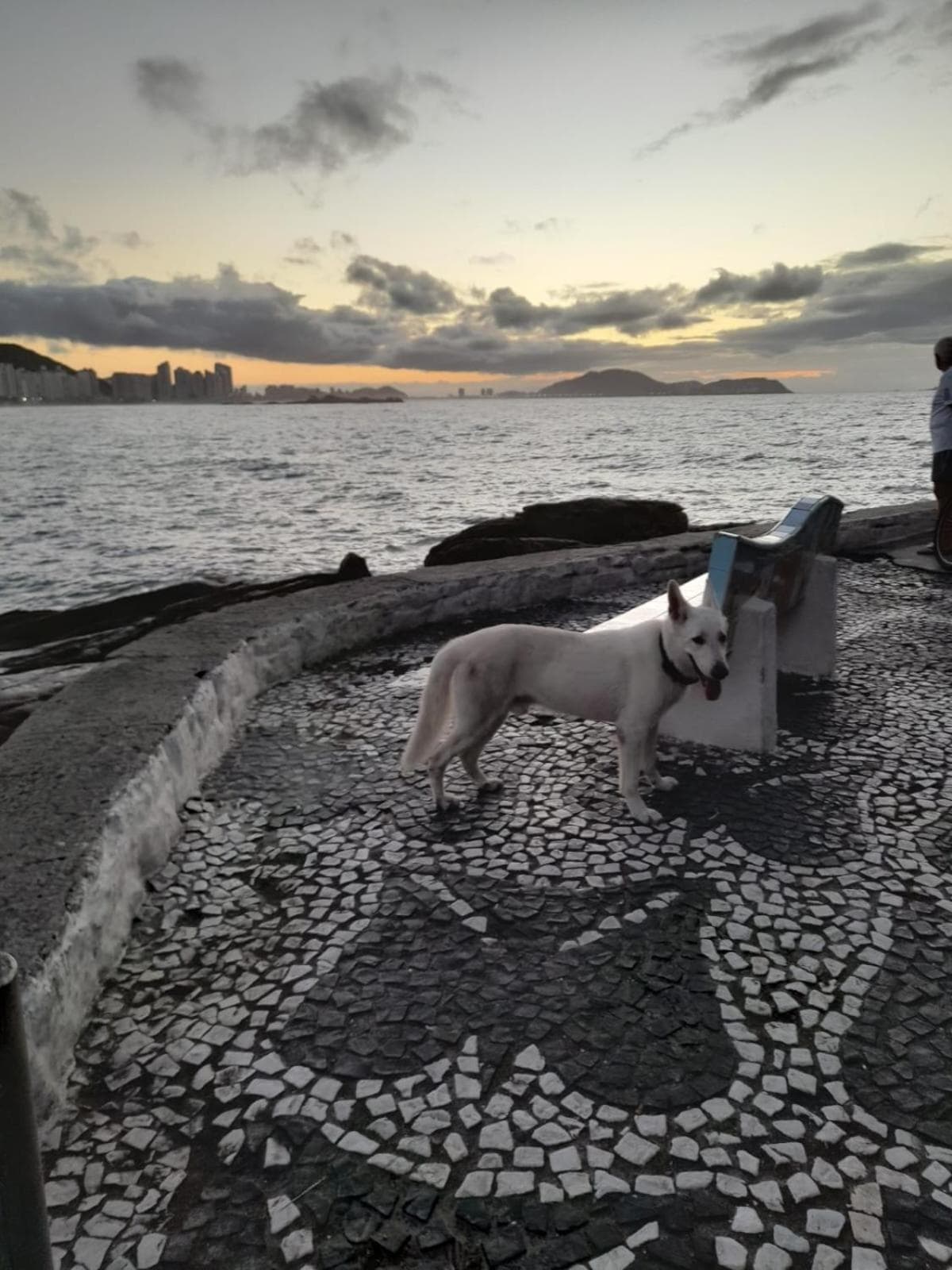 Pousada Good Times photo 2