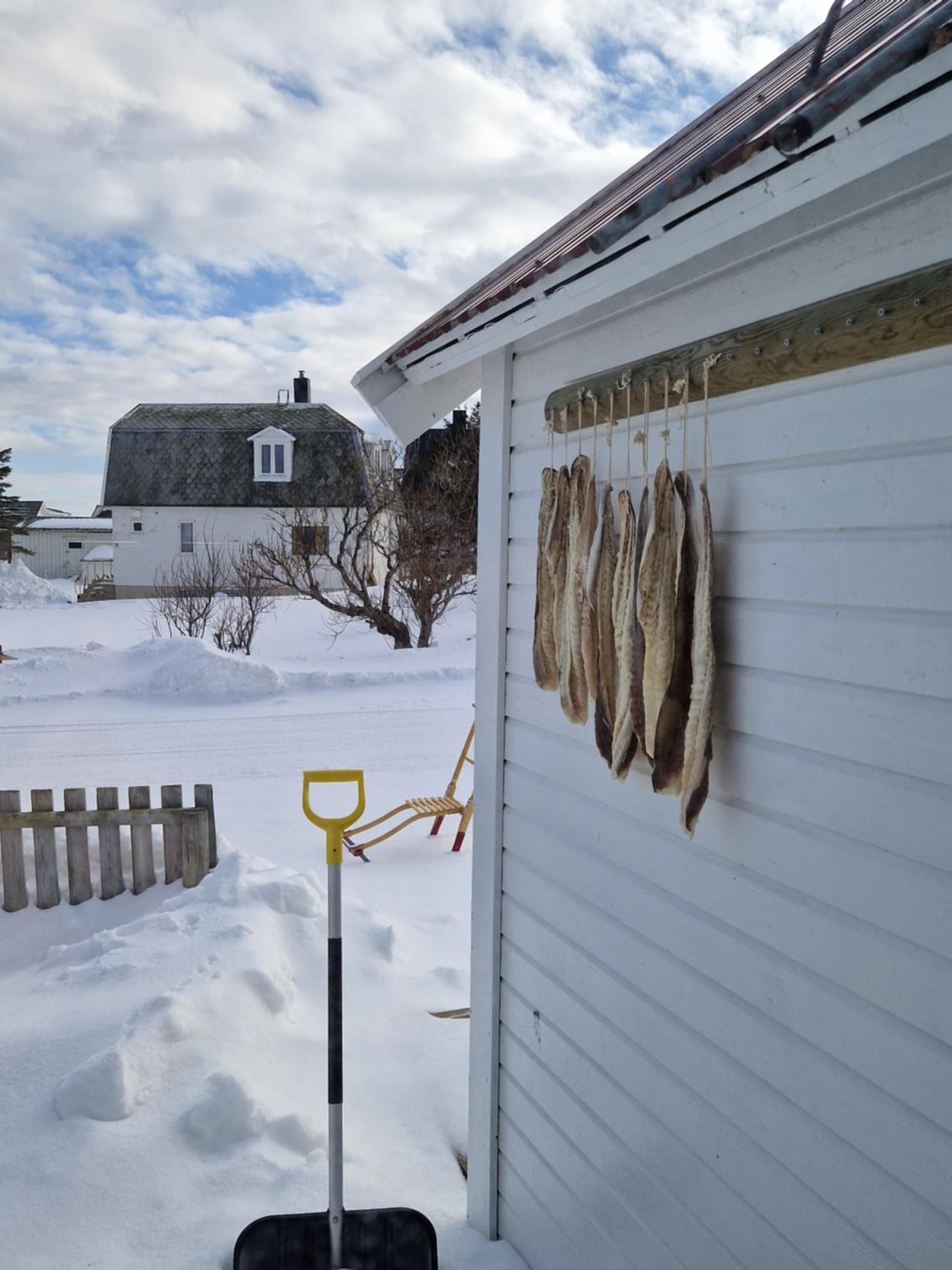 Roligheten Lodge in Andenes photo 3