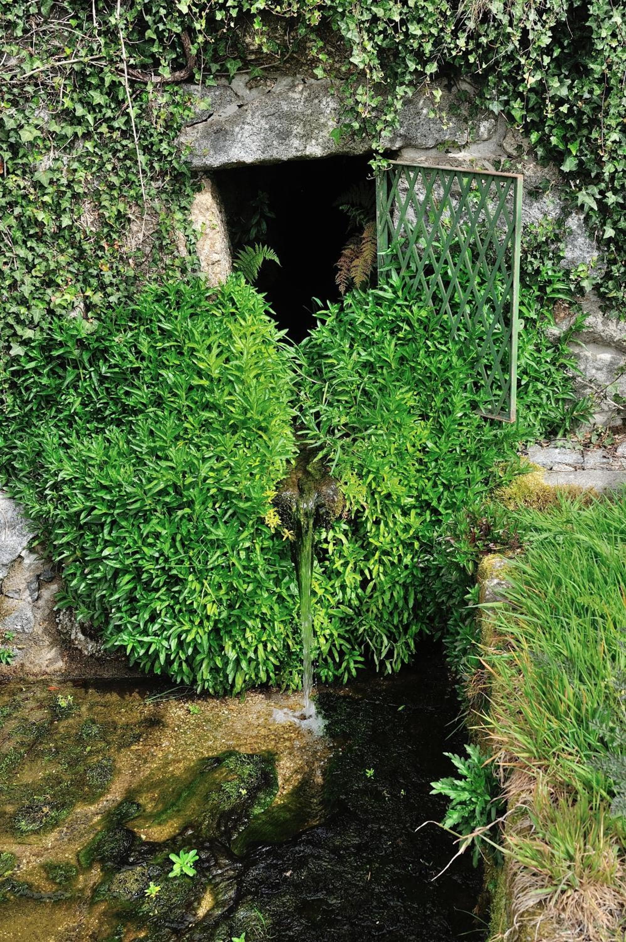 Quinta de Lourosa photo 8