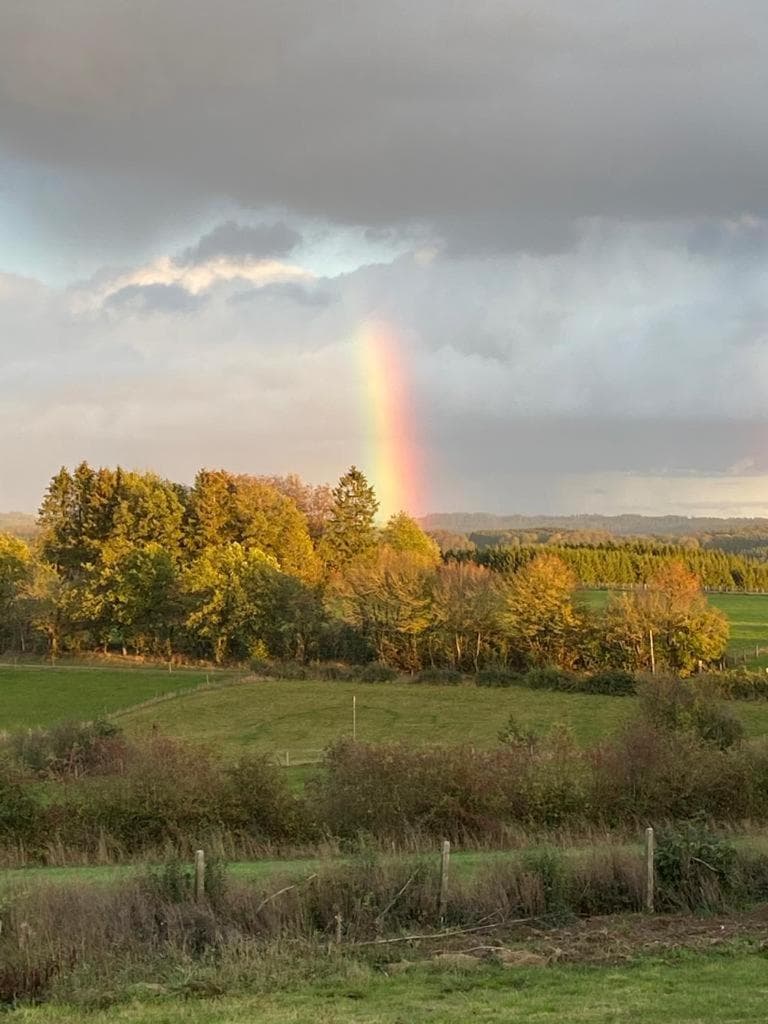 Pipowagen Monceau-en-Ardenne photo 7