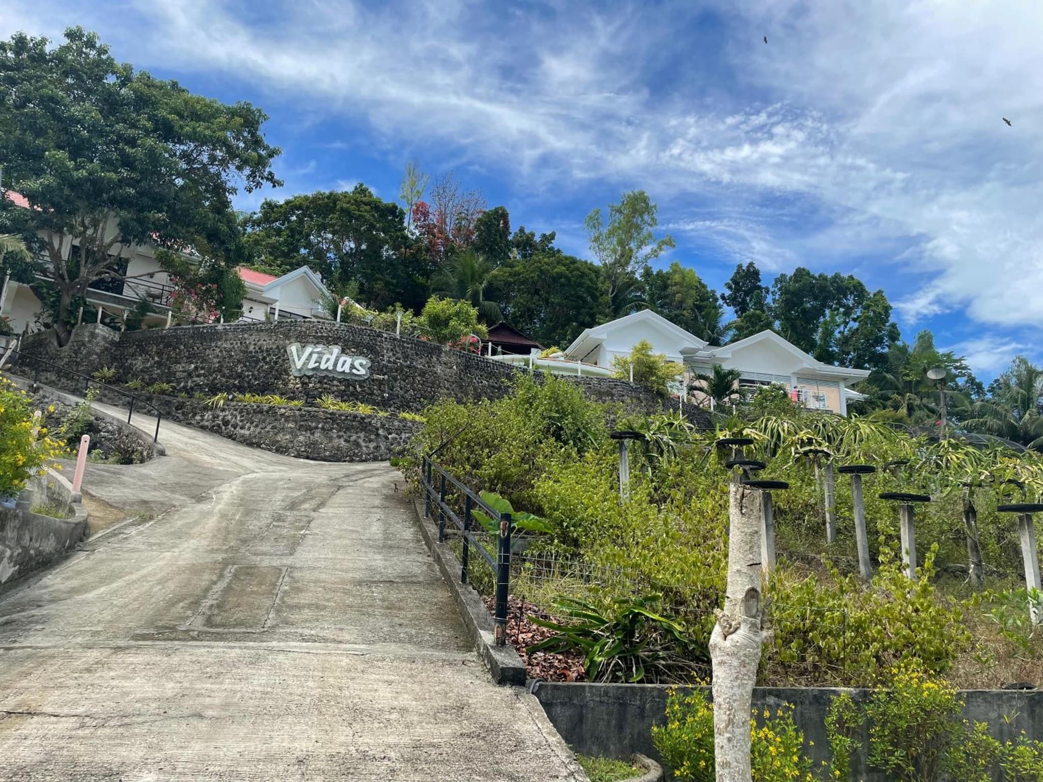 Vidas Mountain Stay-Bohol