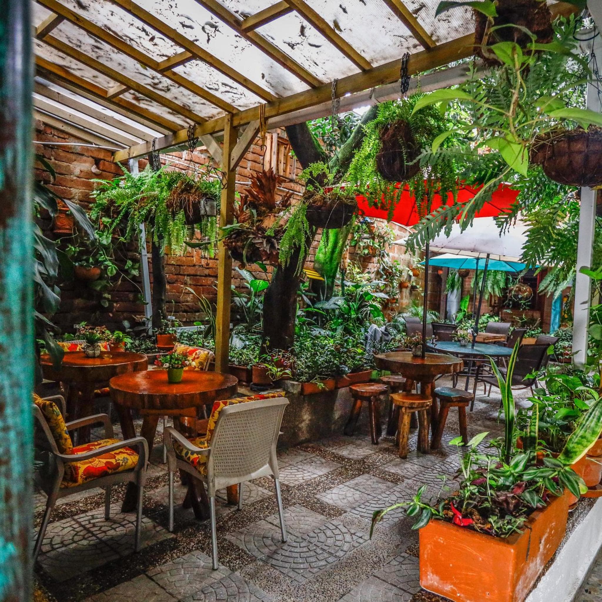The Garden Lleras 10 photo 6