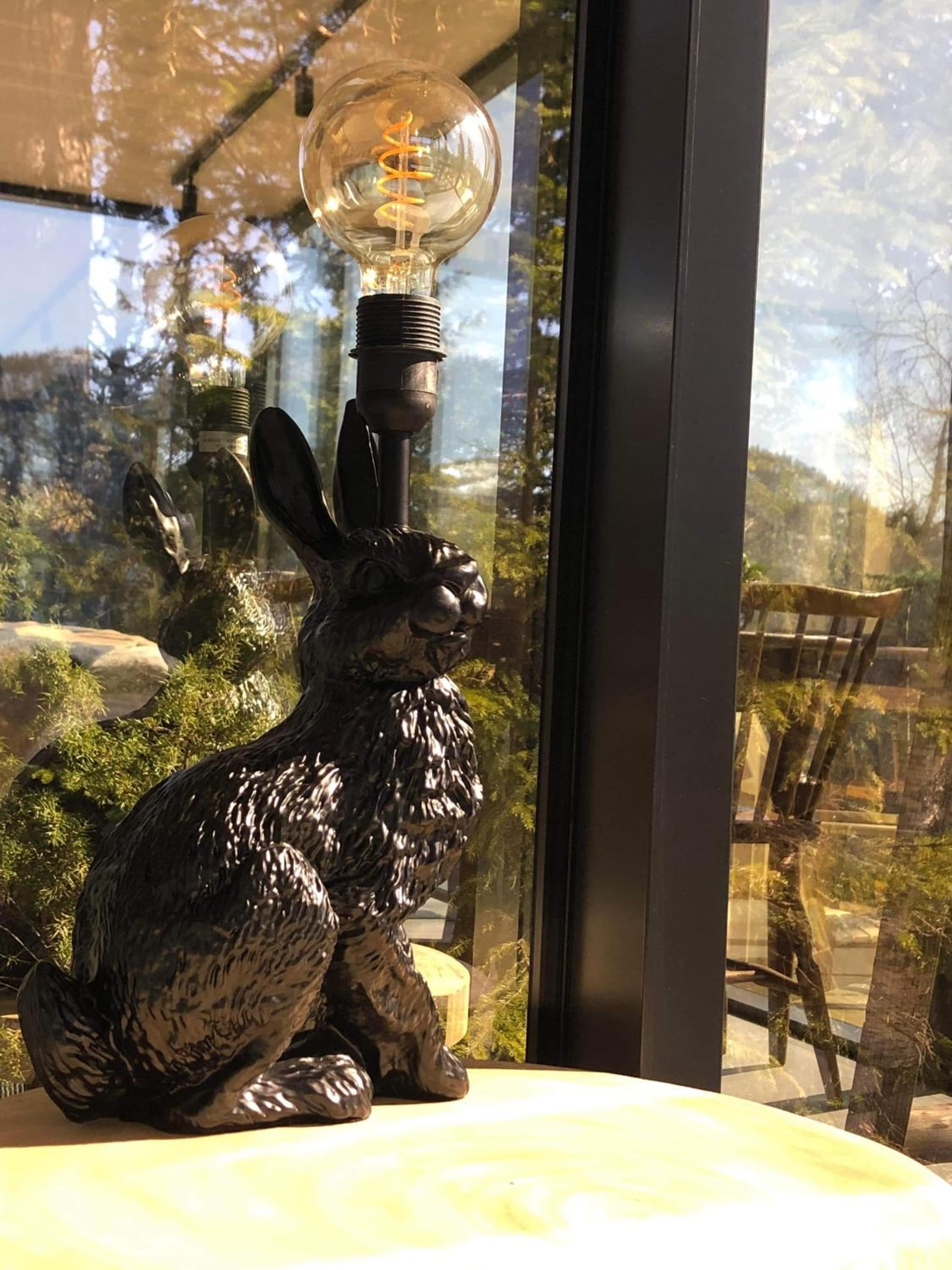 Vidsyn Midjås photo 7