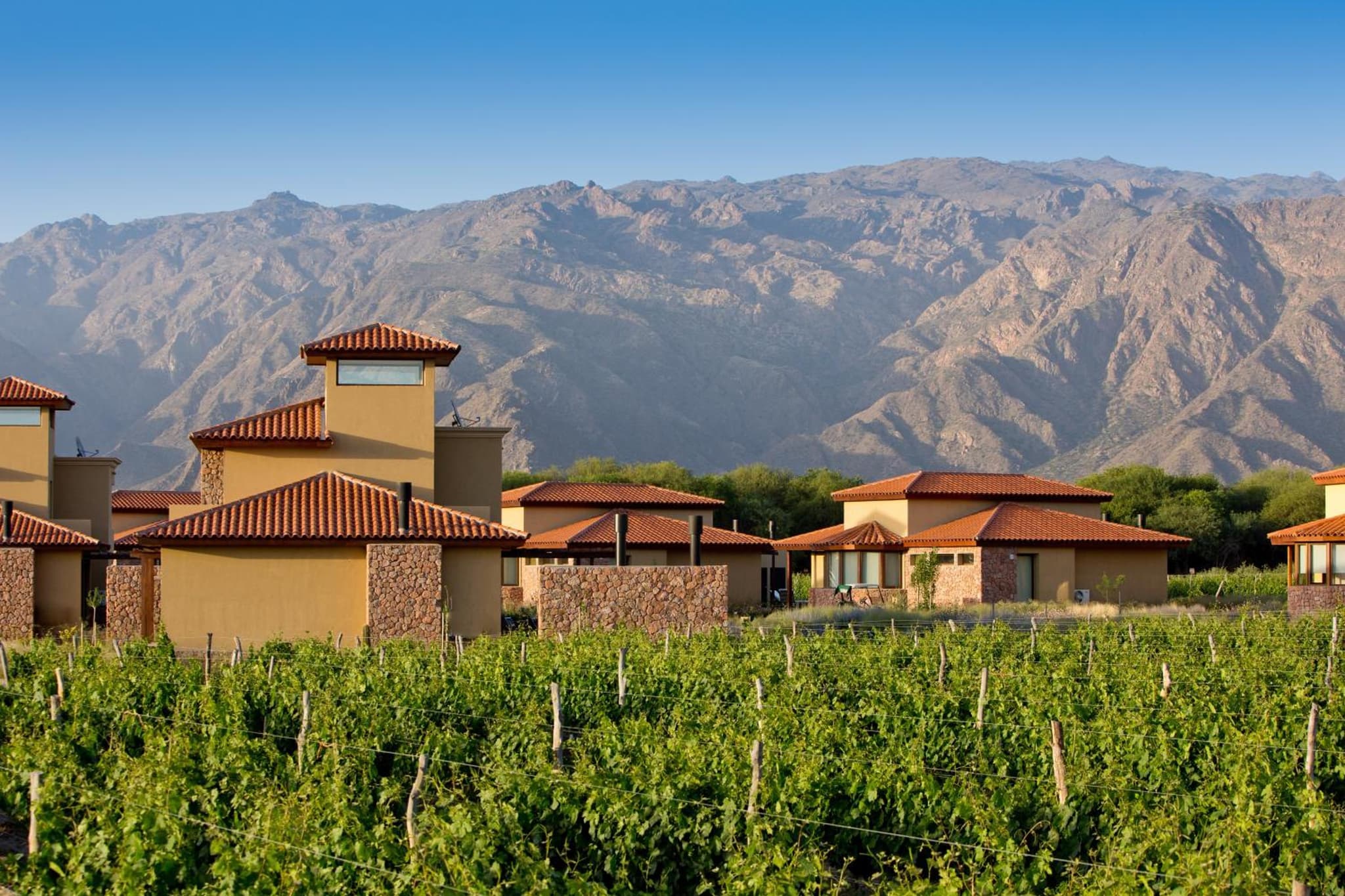 Grace Cafayate photo 8