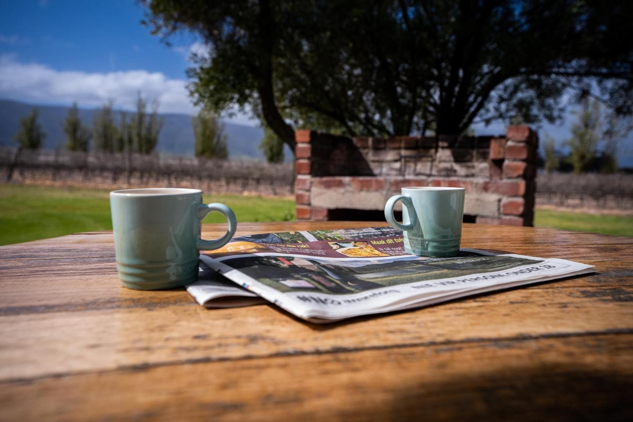 Saronsberg Vineyard Cottages photo 3