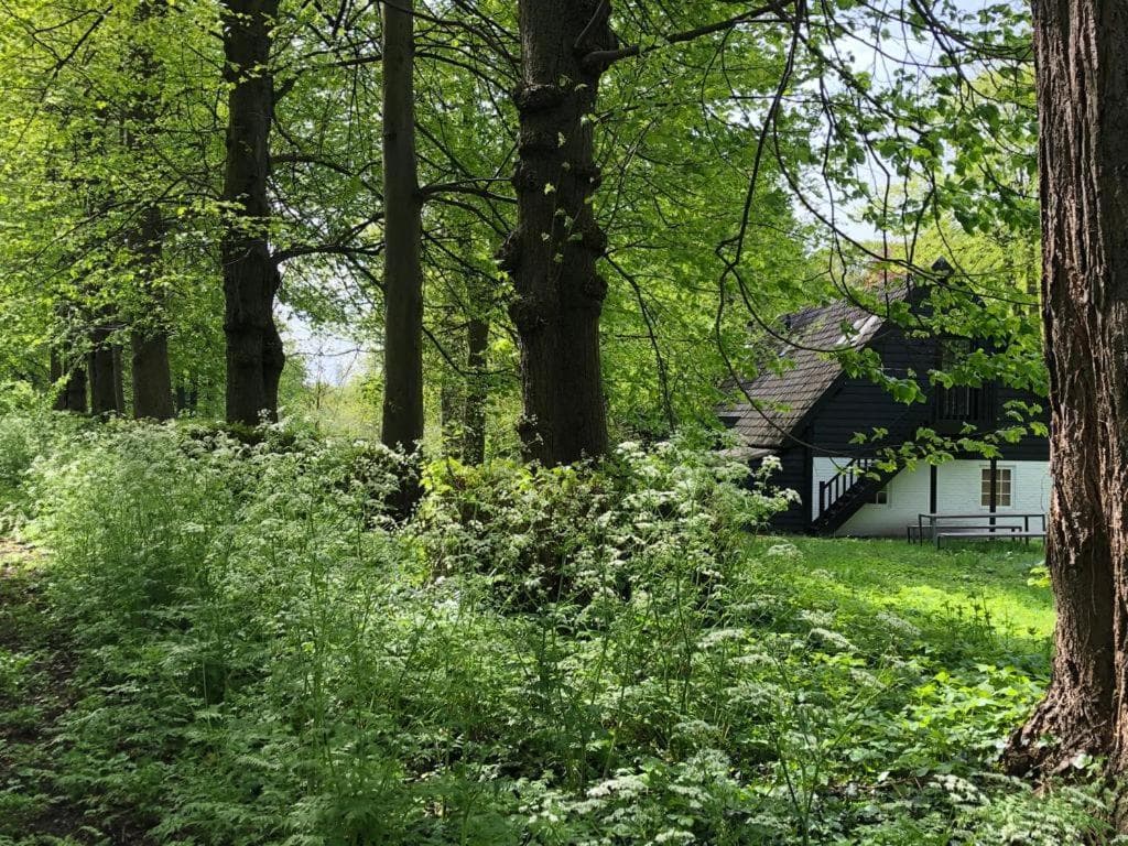 Het Wagenhuis bij Het Witte Kasteel photo 9