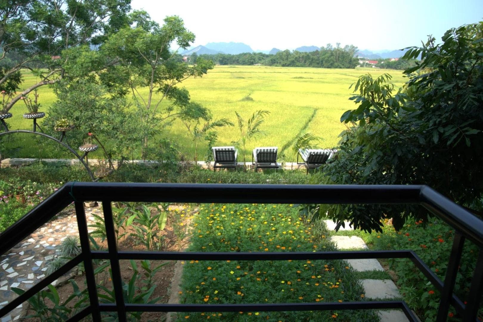 Greenfield Ecostay photo 6