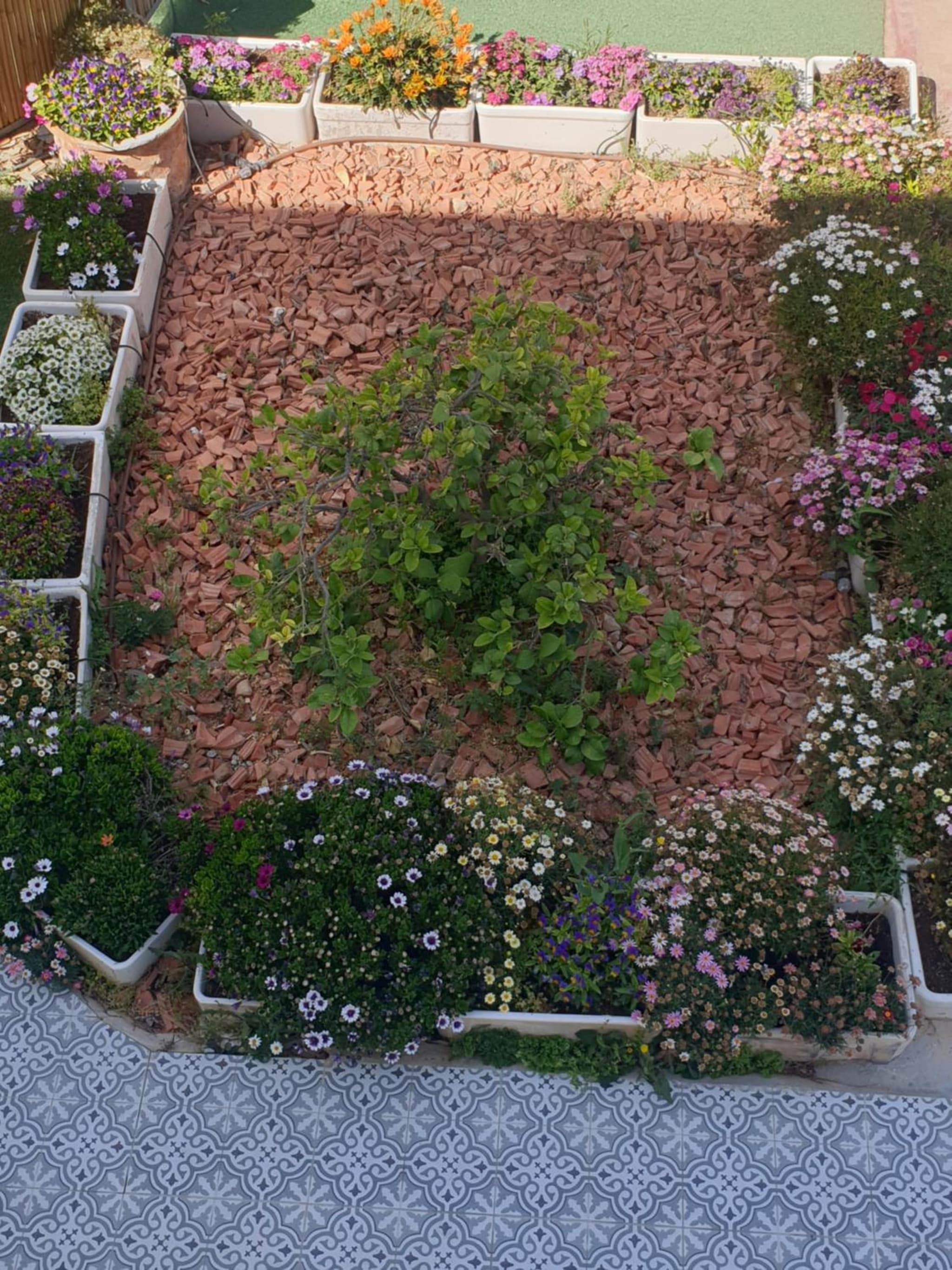 חצבים על הואדי photo 2