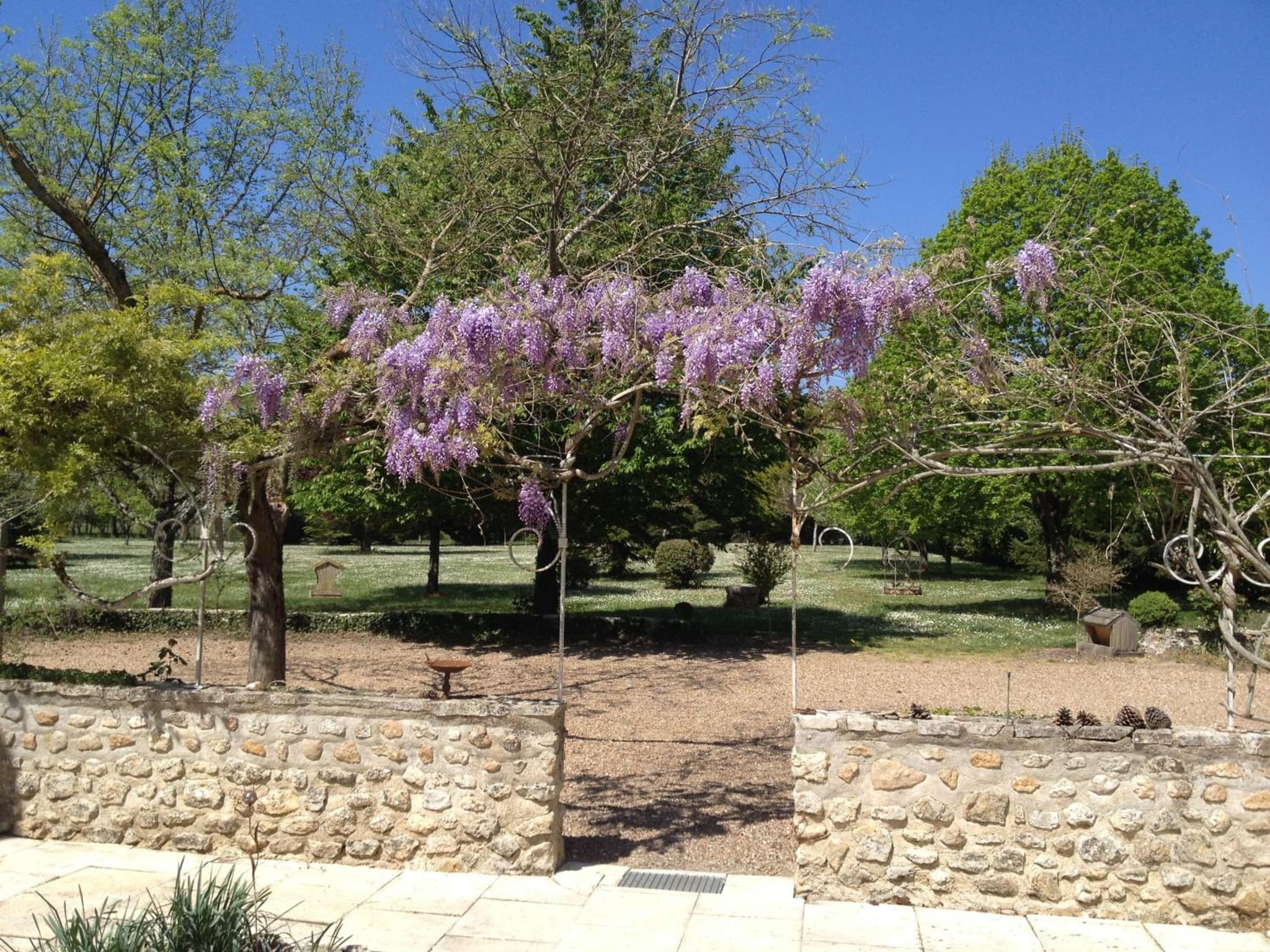 La Marelle photo 2