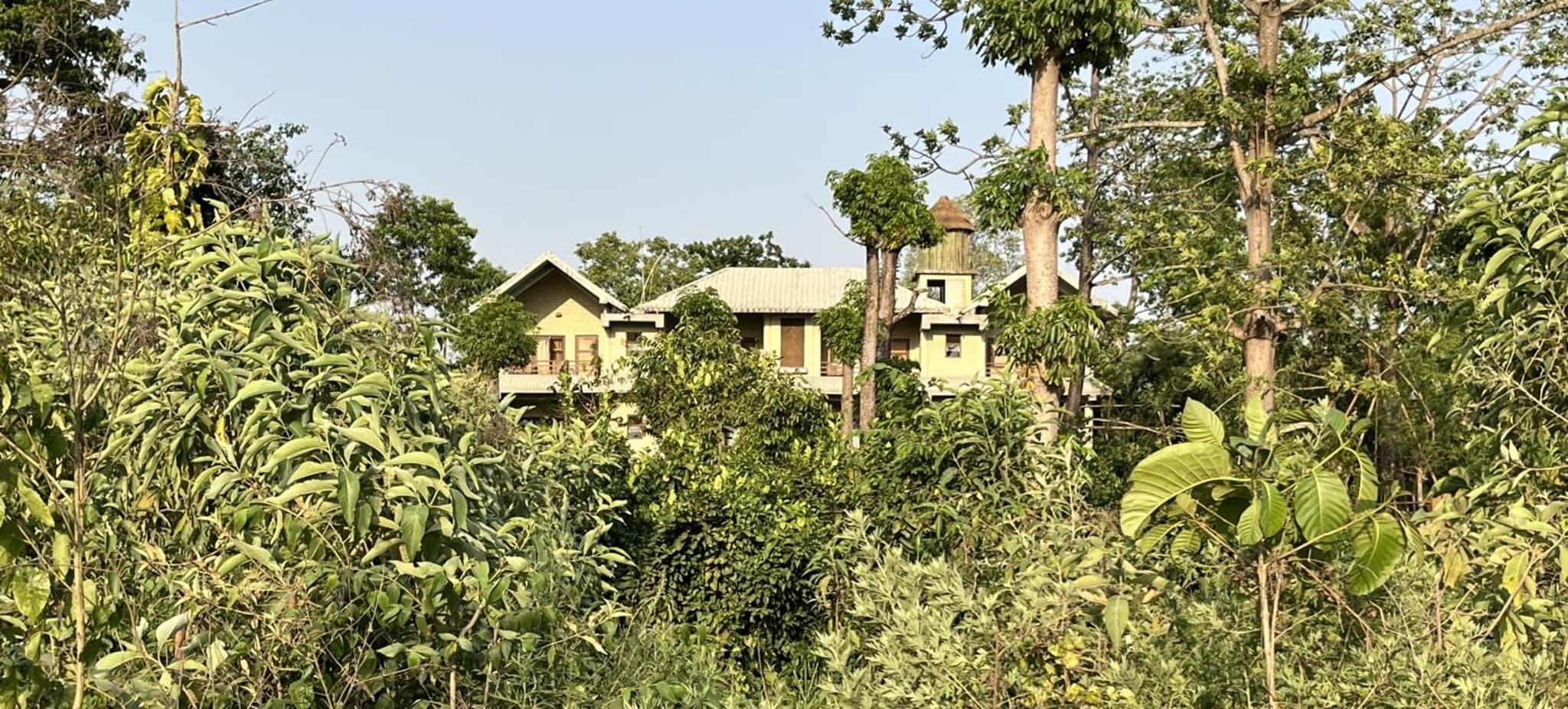 River View Jungle Camp photo 5