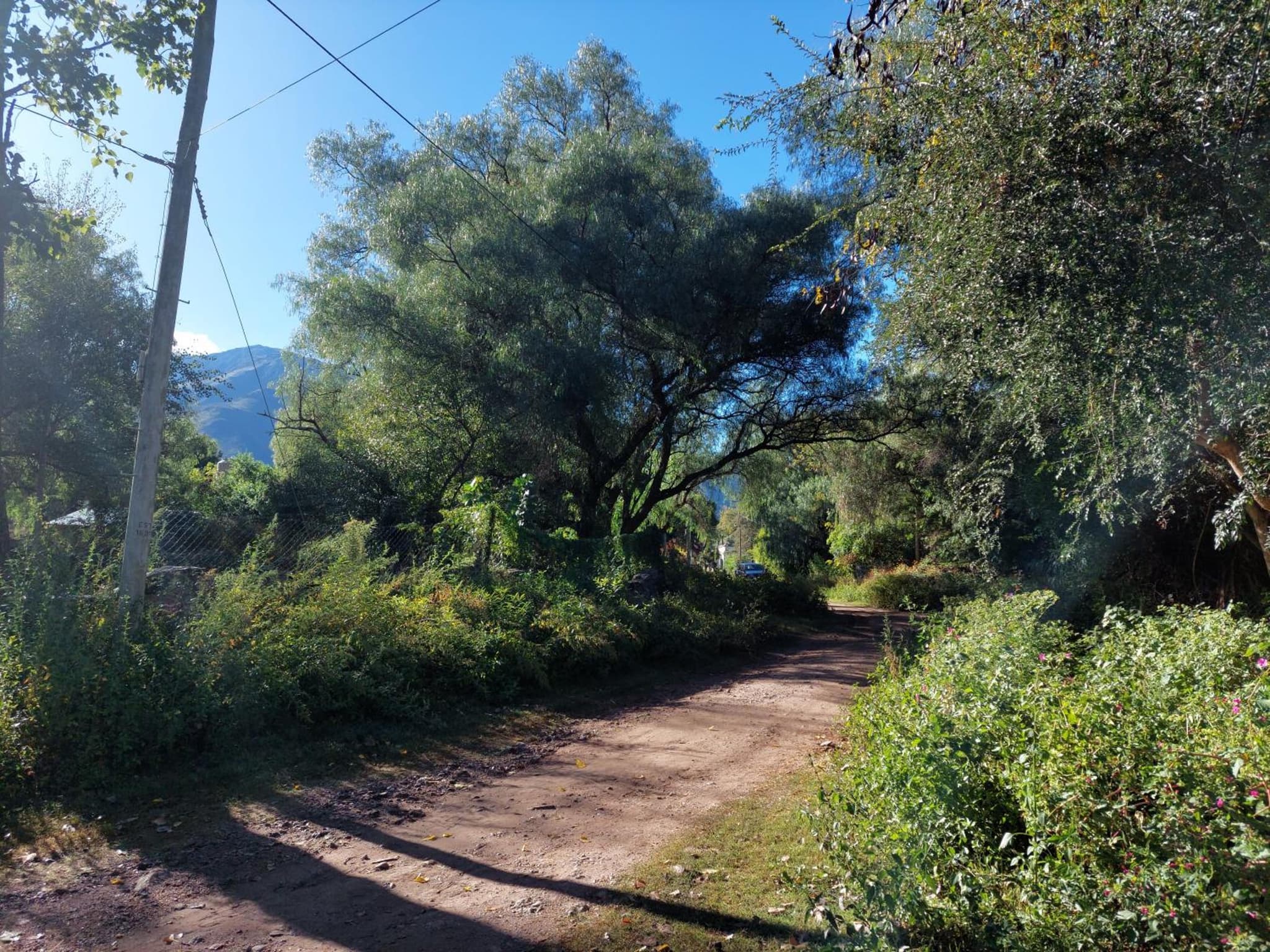 Sol y Monte photo 5
