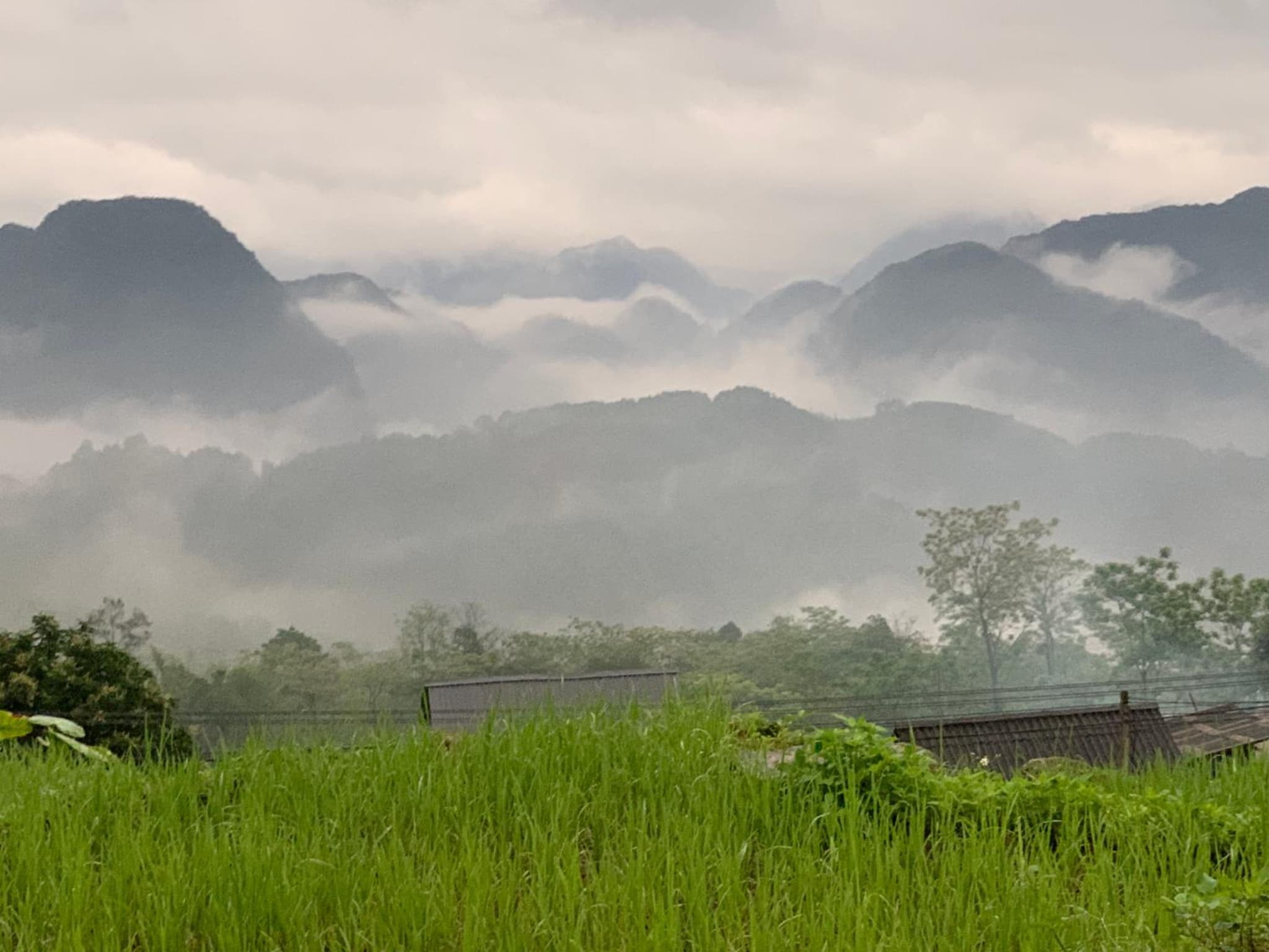 Amigo Pu Luong photo 4