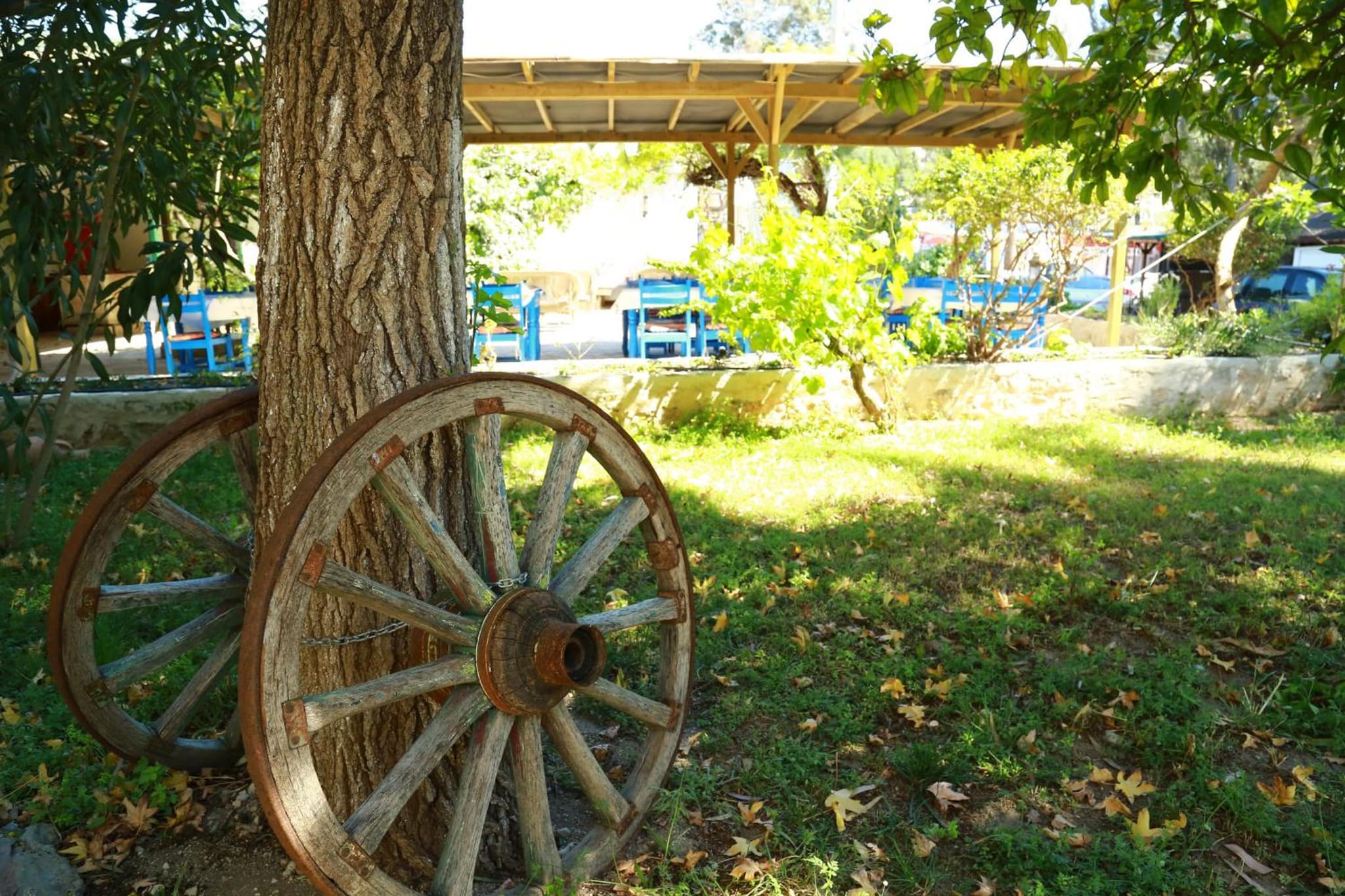 Dardanos Hotel photo 6