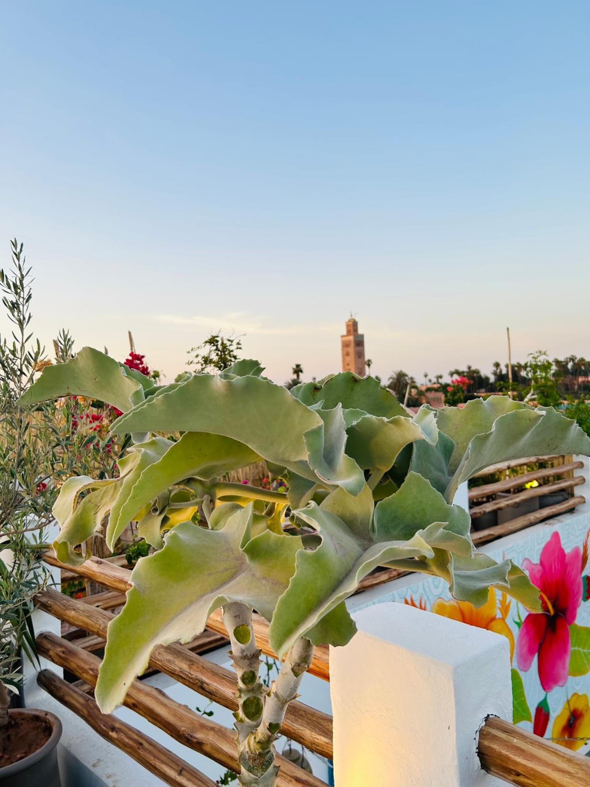 Riad Tsar Mimoun photo 2