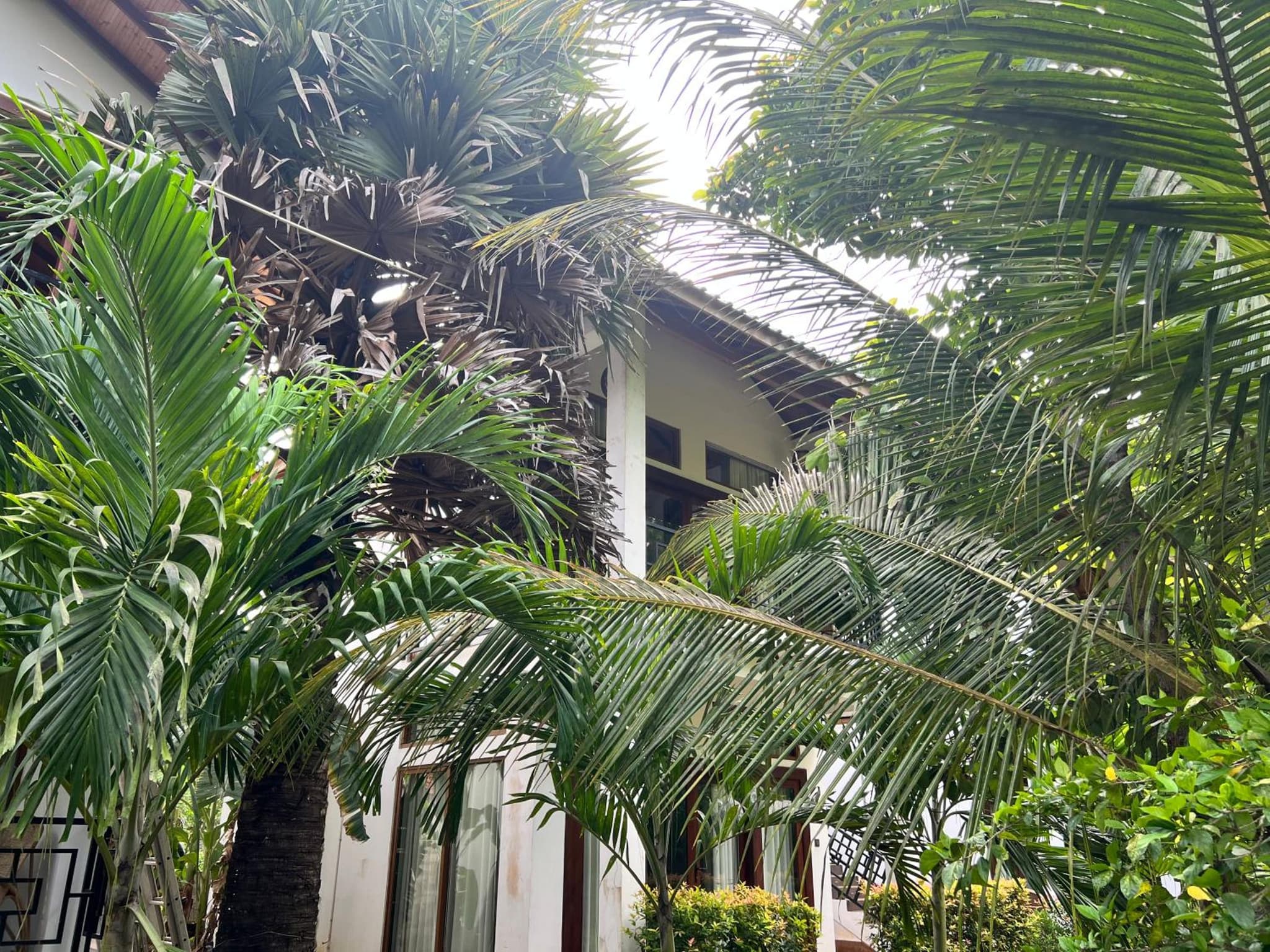Gatetrees resort photo 3