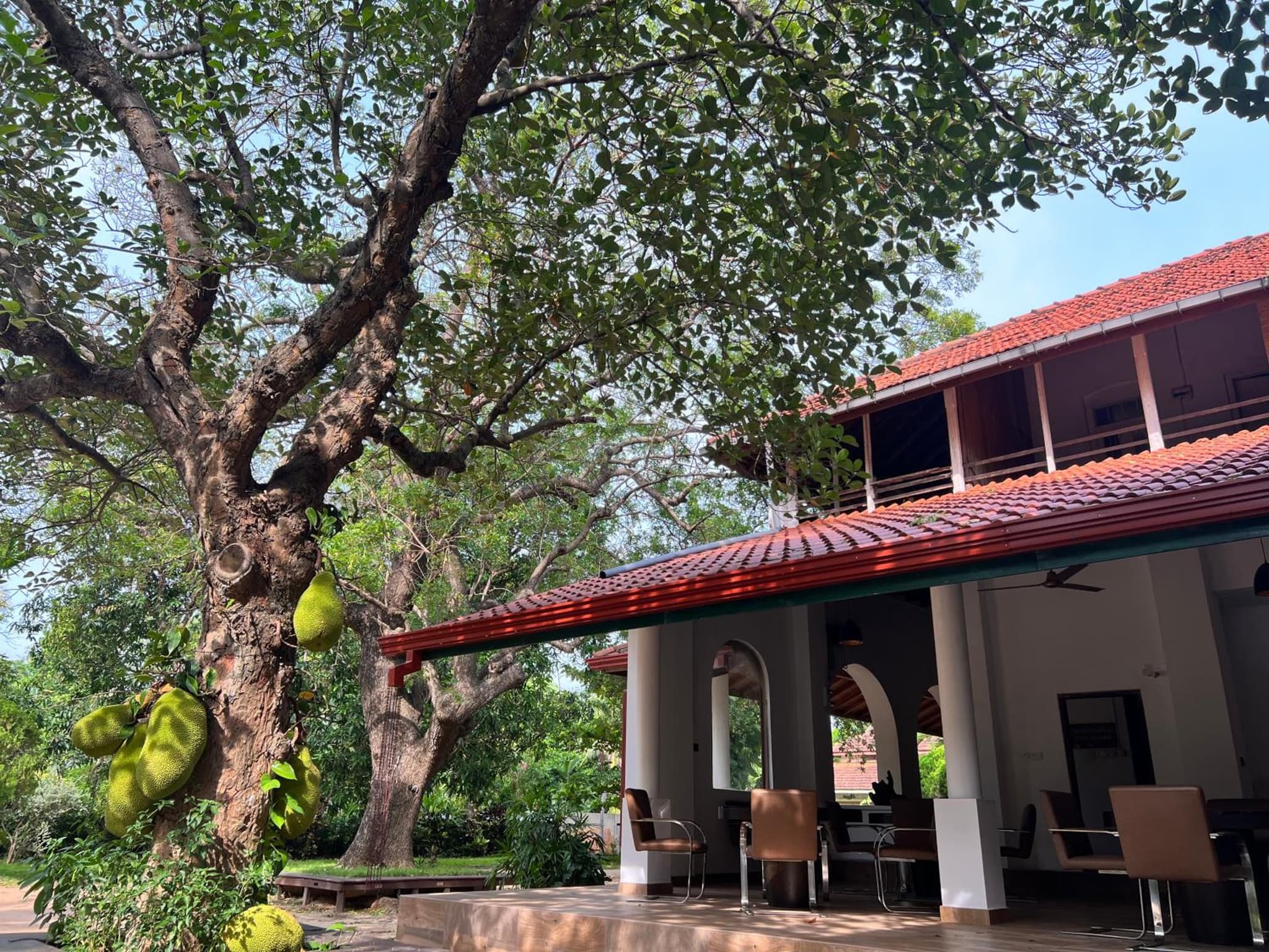 Gatetrees resort photo 4