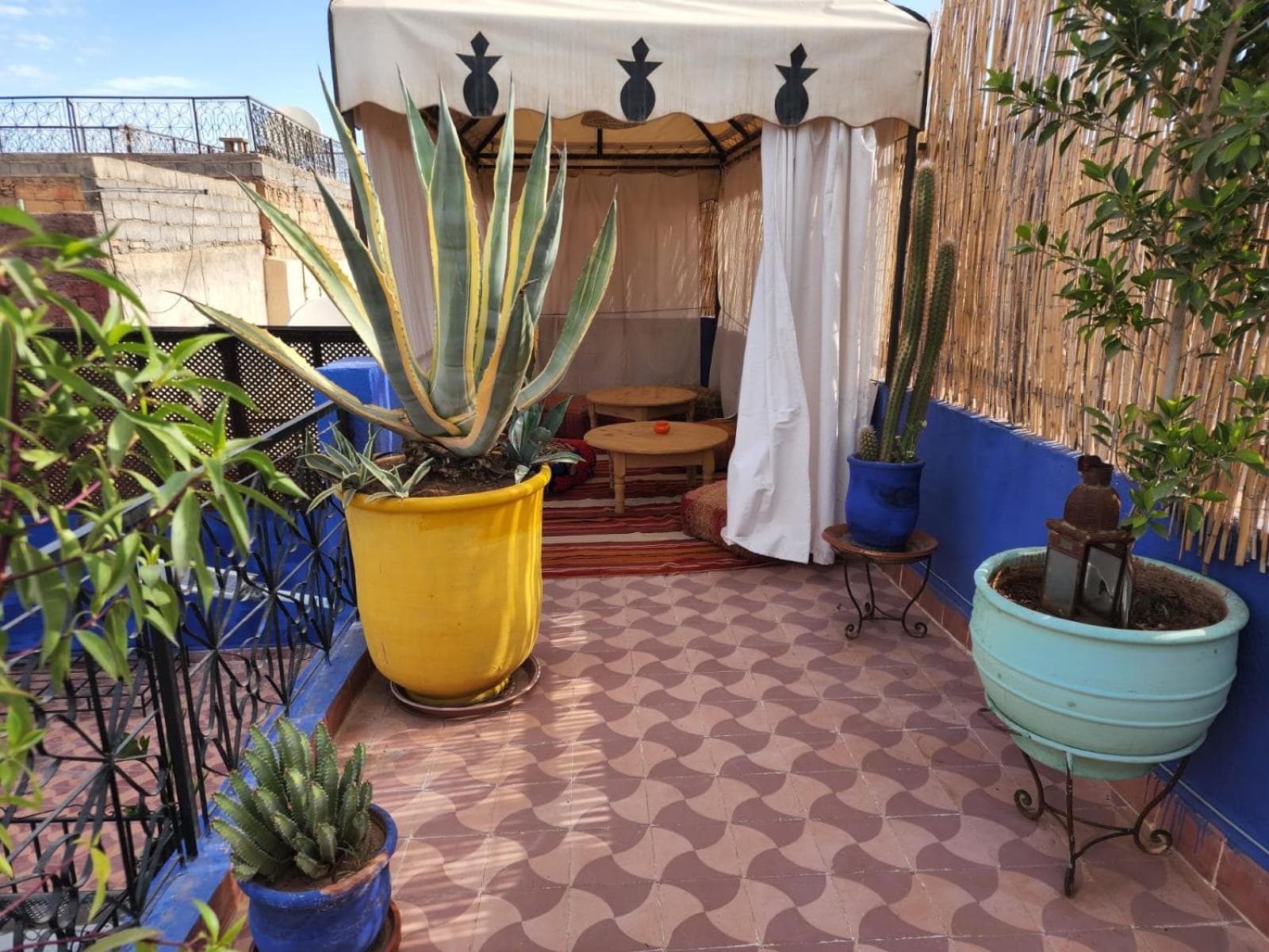 balance & terrace