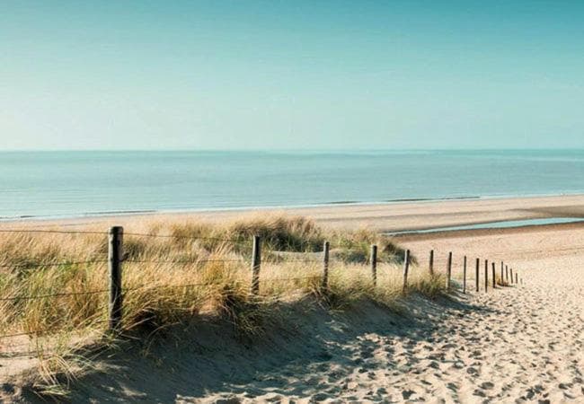 La Siesta Noordwijk Zee photo 6