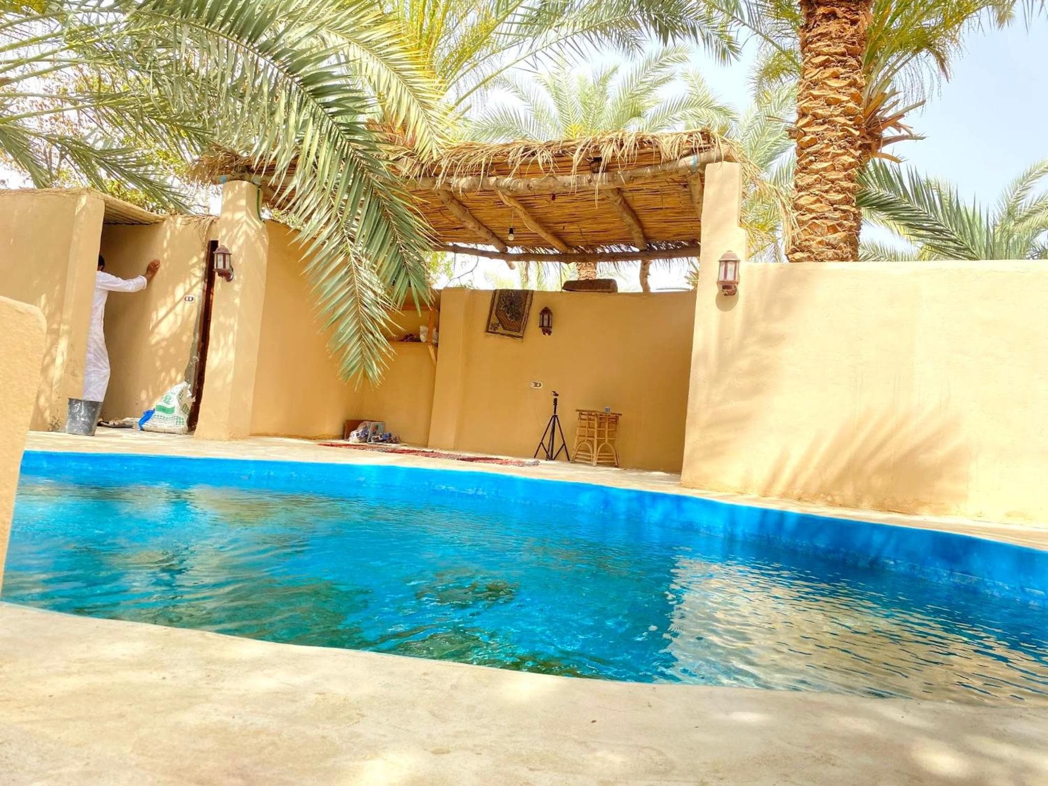 Forest Camp Siwa - كامب الغابة photo 3