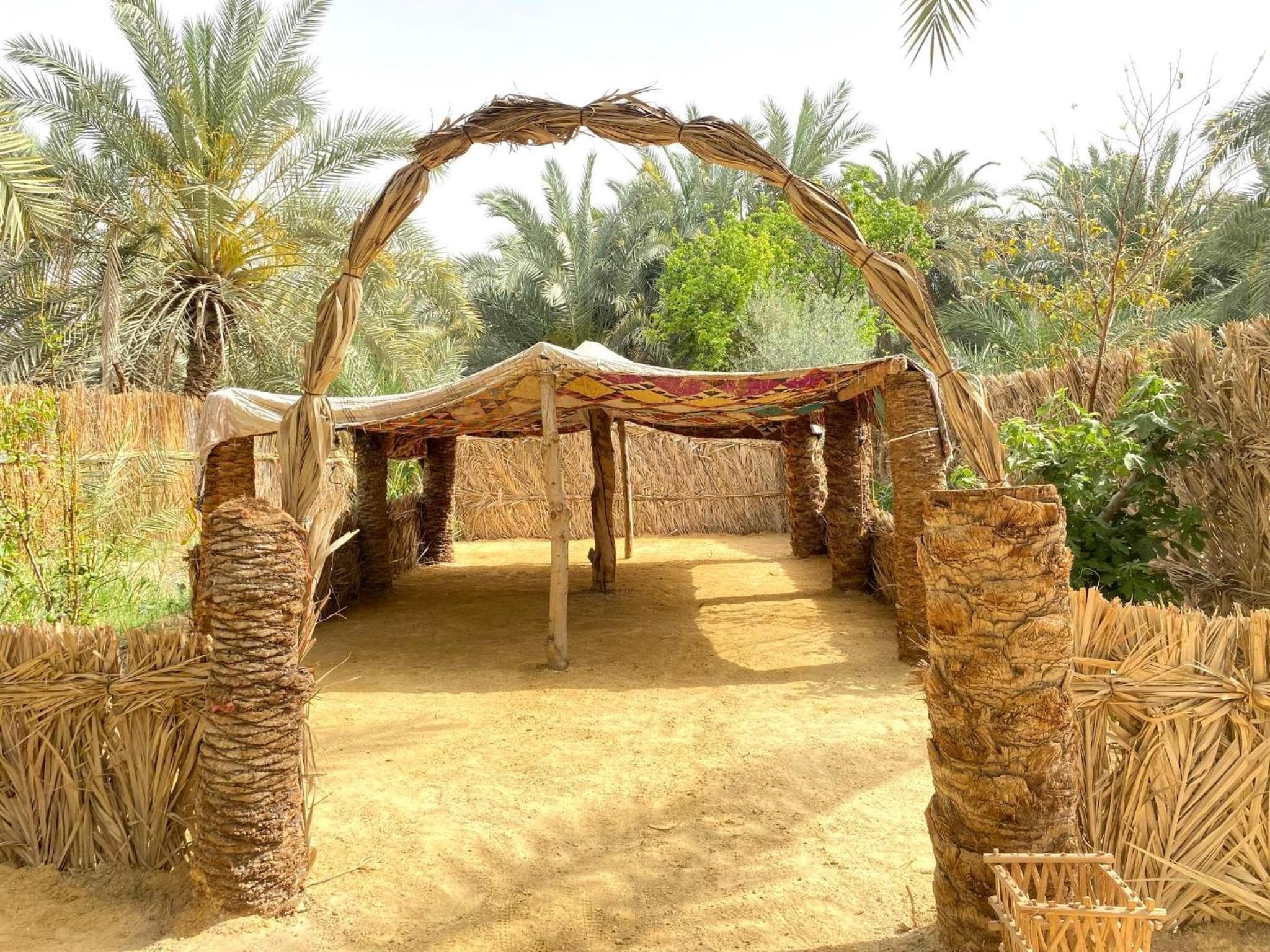 Forest Camp Siwa - كامب الغابة photo 9