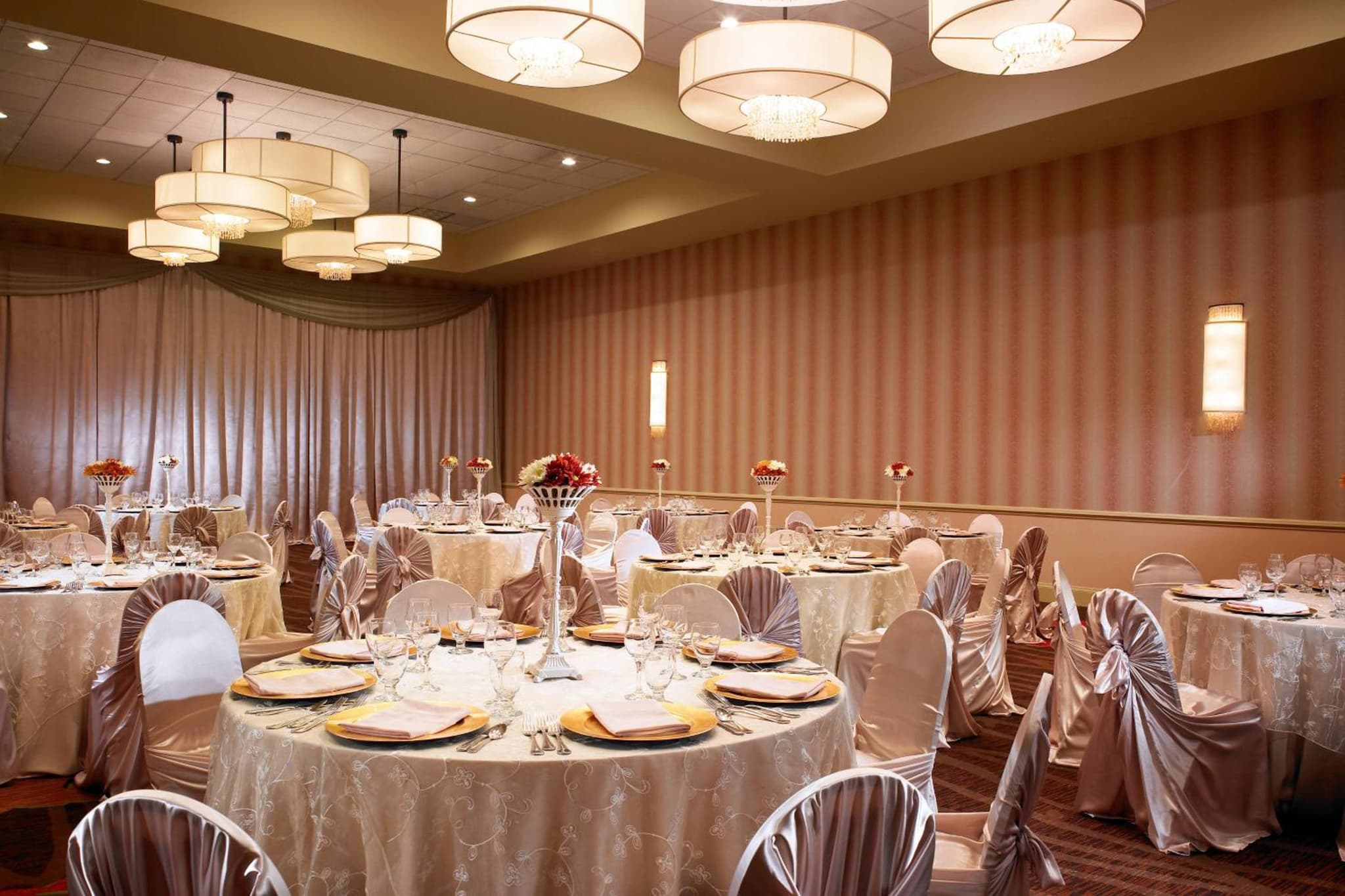 Sheraton Albuquerque Airport Hotel photo 6