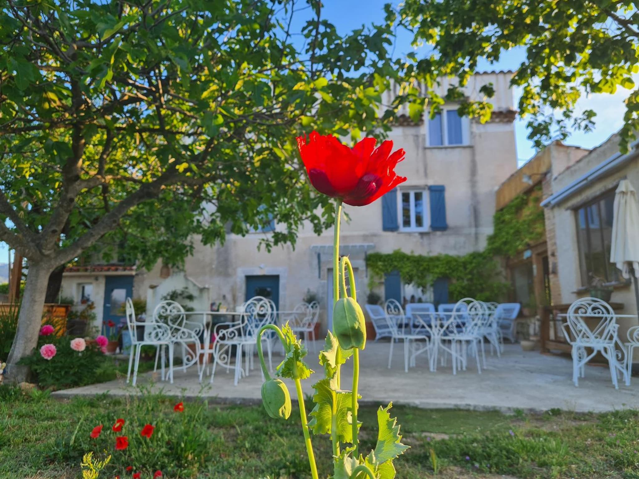 La Ferme Constantin
