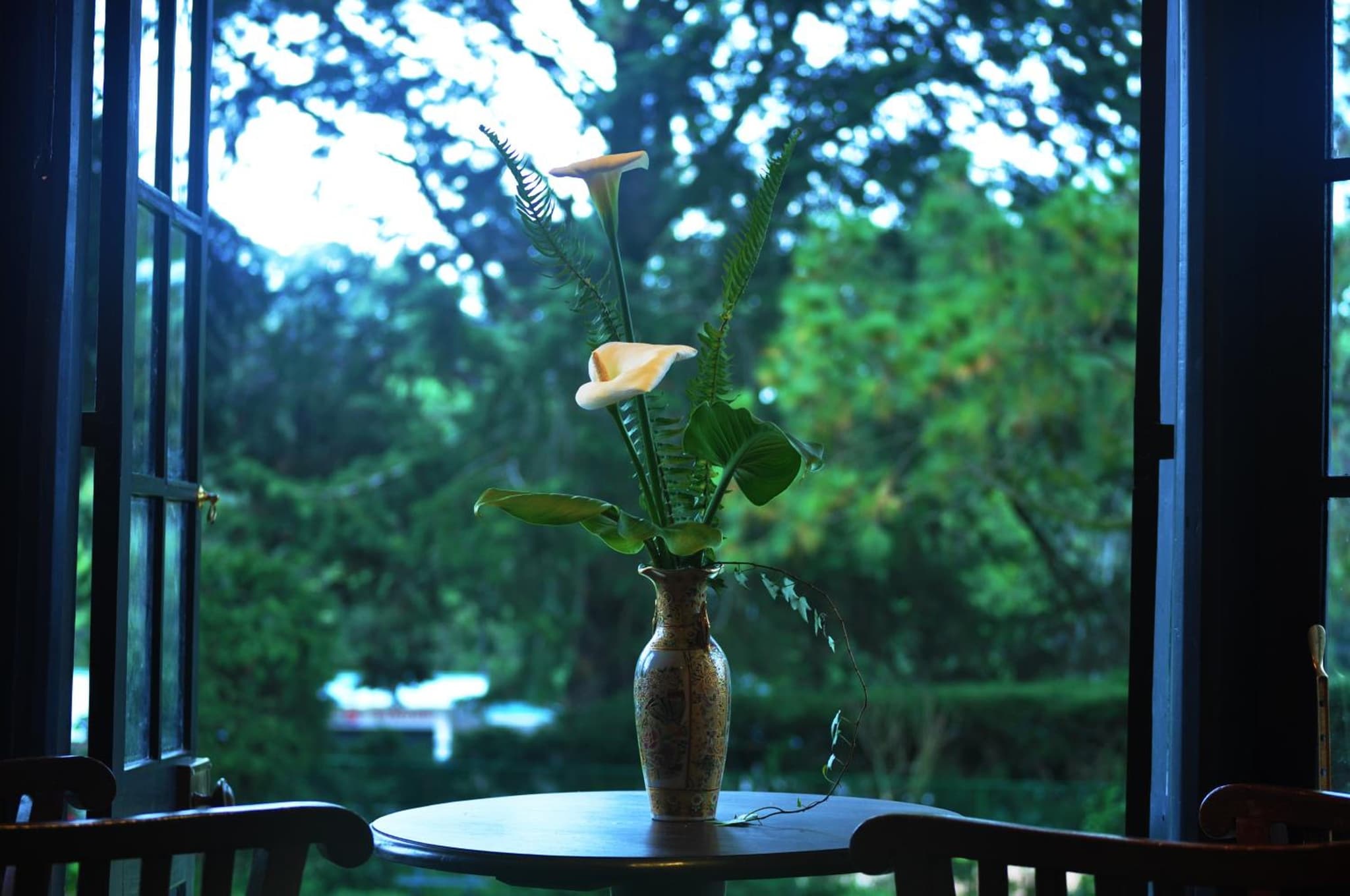 Hill Cottage photo 9