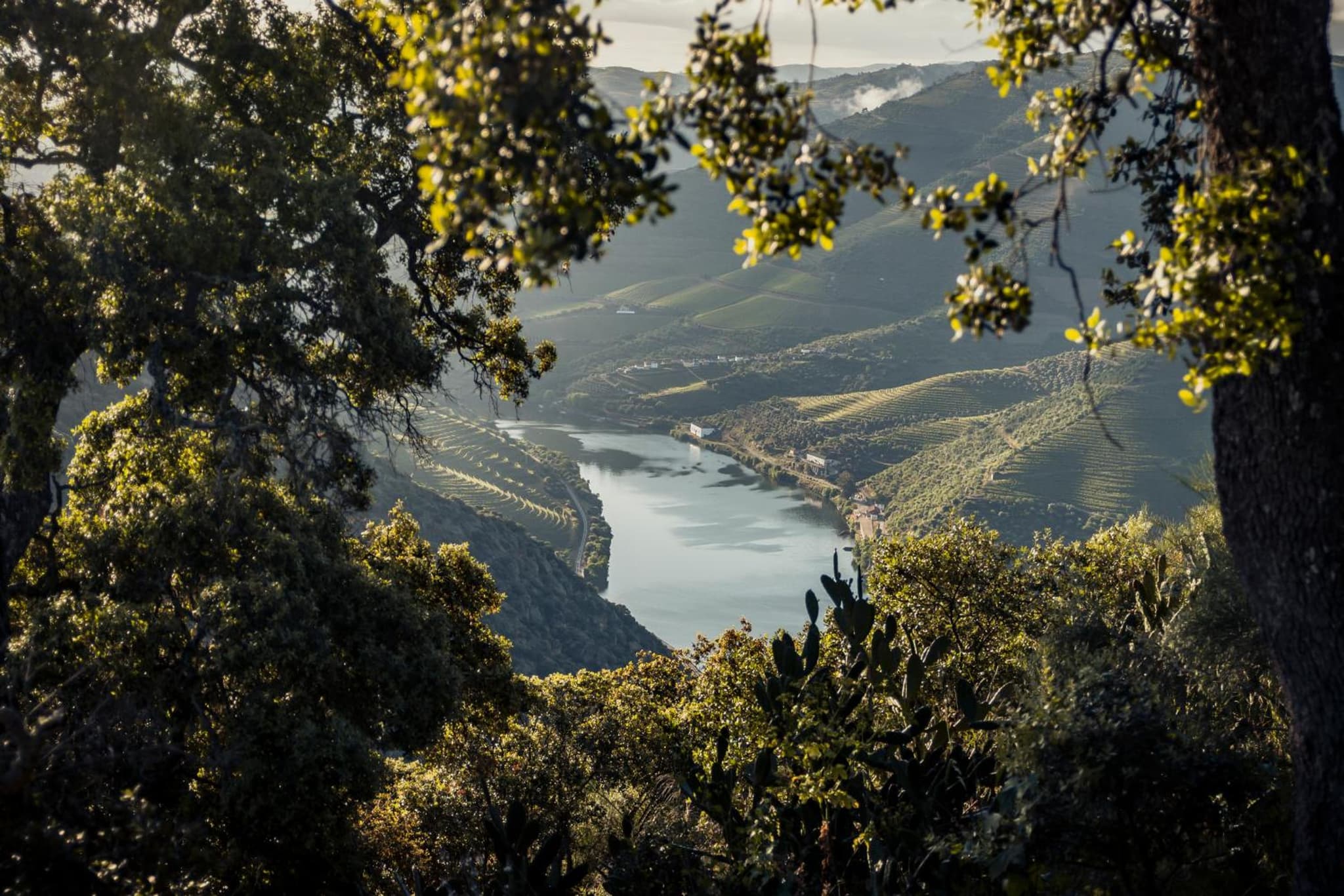Original Douro Hotel photo 6
