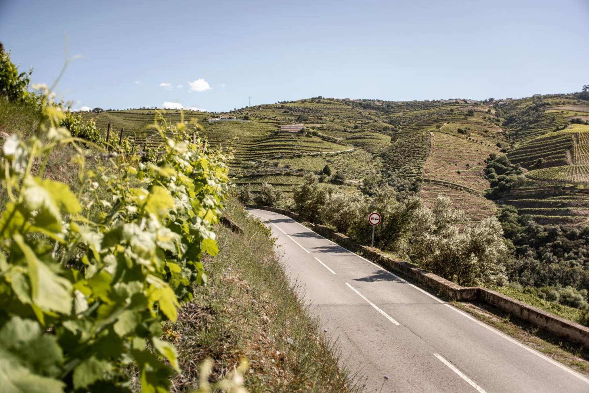 Original Douro Hotel photo 2
