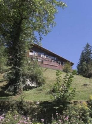 Edelweiss photo 3
