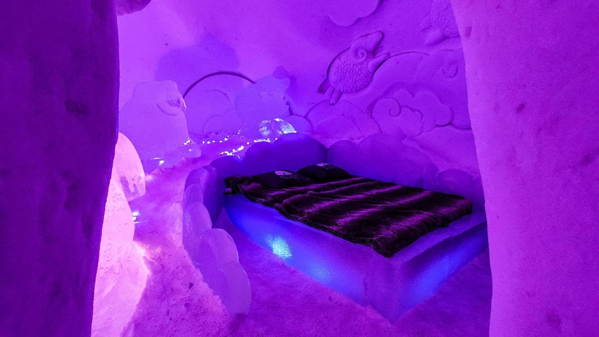 Arctic SnowHotel & Glass Igloos photo 7