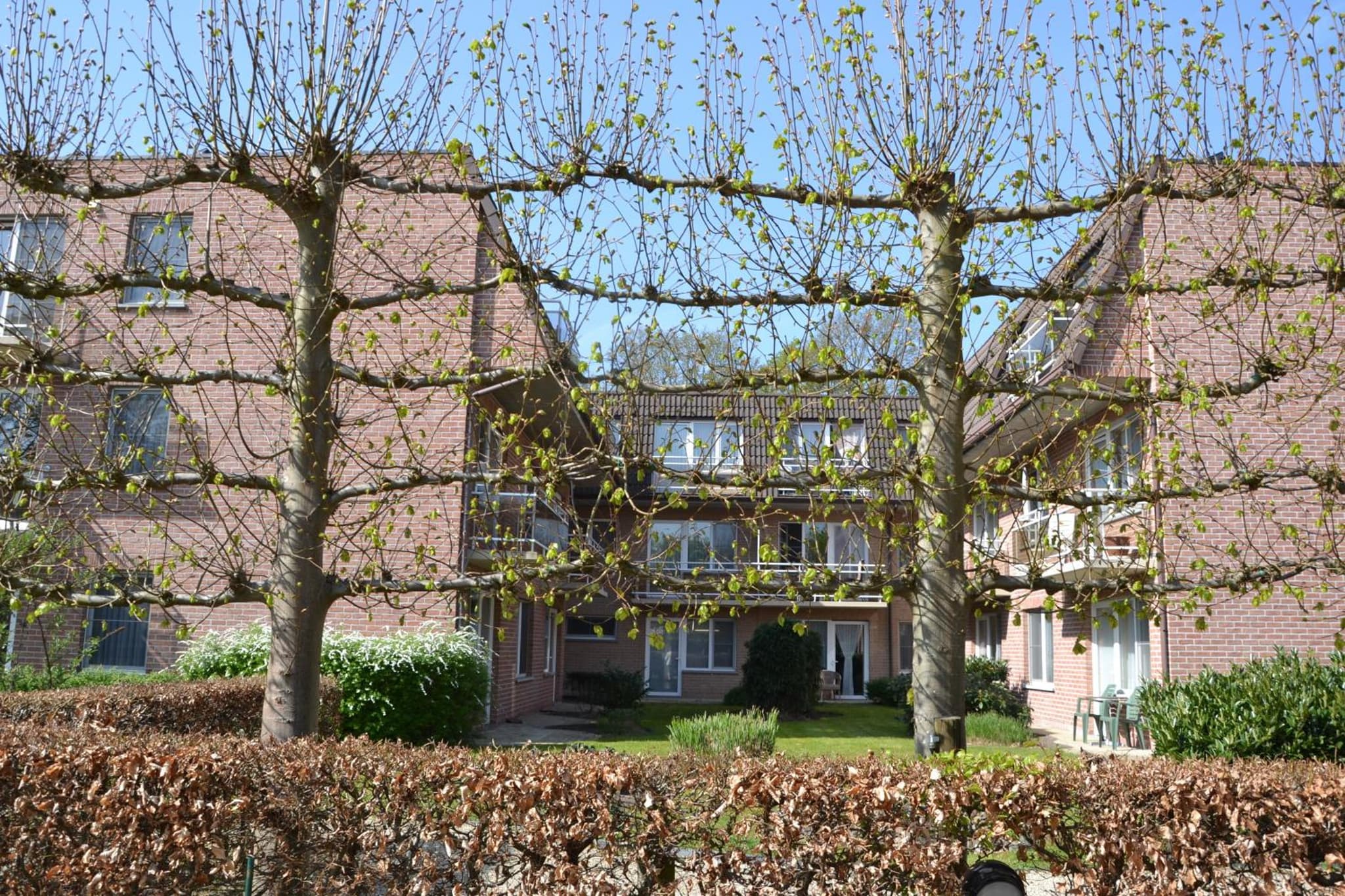 Lindehof Serviced Flats photo 8