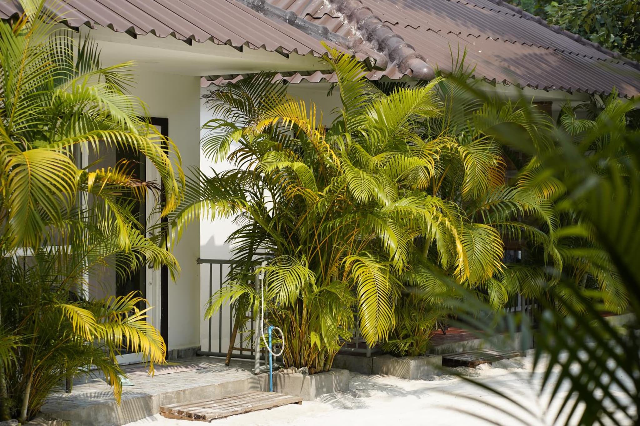 WHITE SAND ARK RESORT