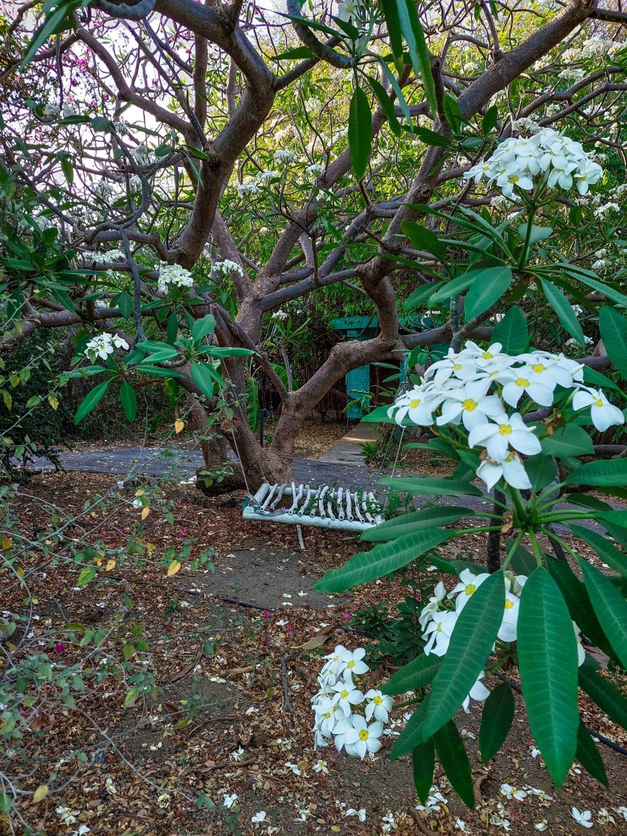 Mondi Lodge photo 2