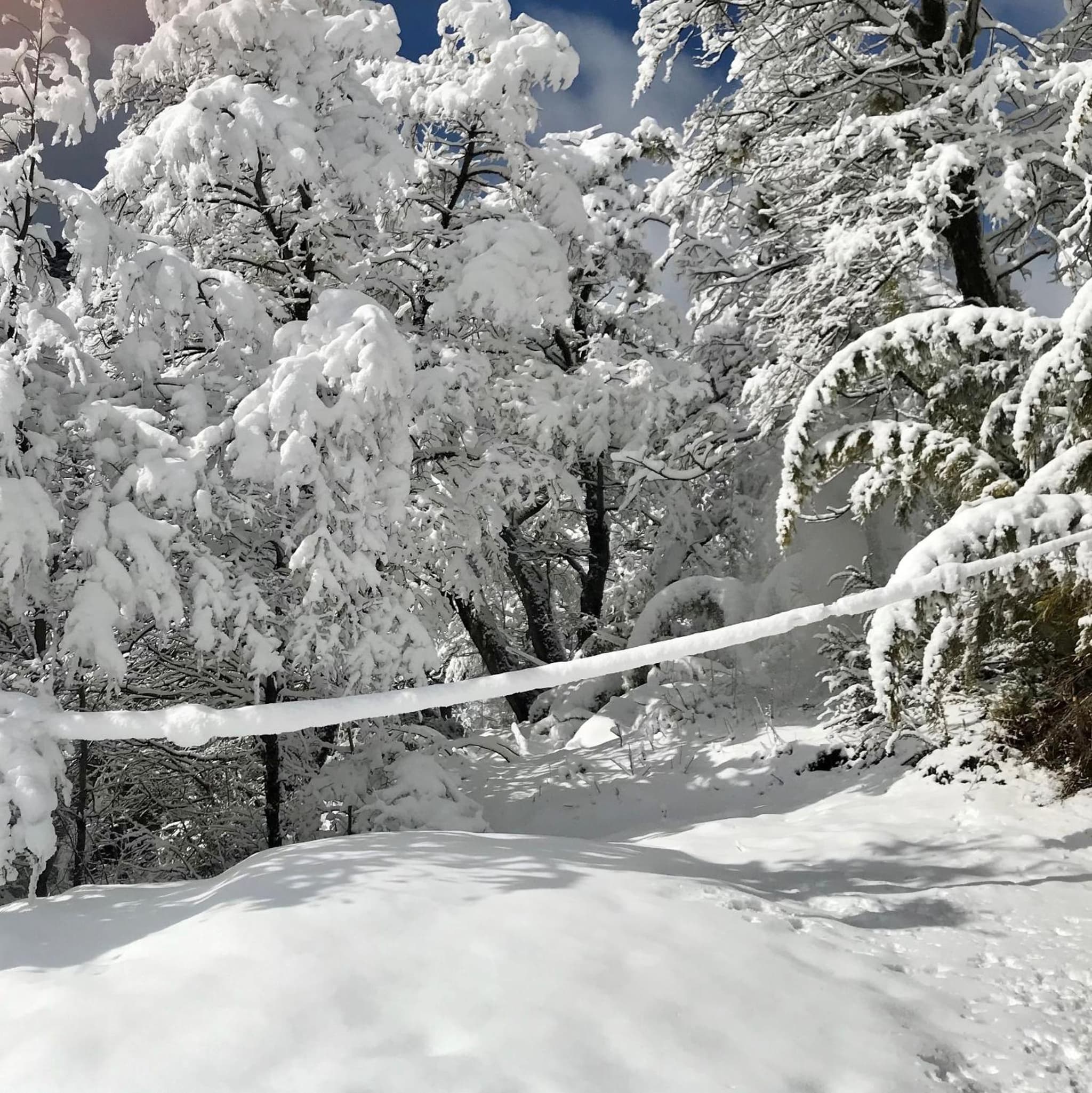Malga Andina photo 3