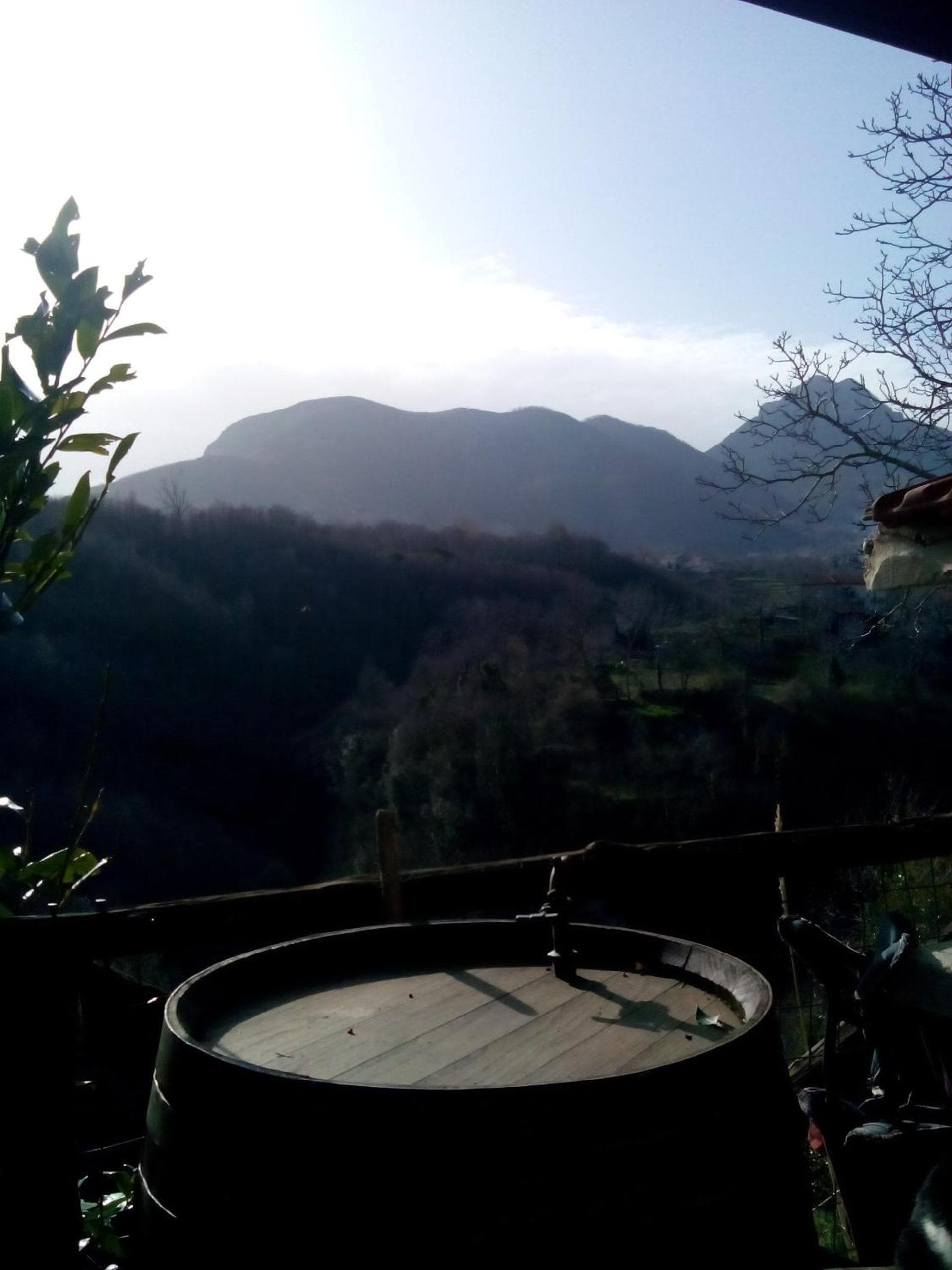 La Cicogna photo 3