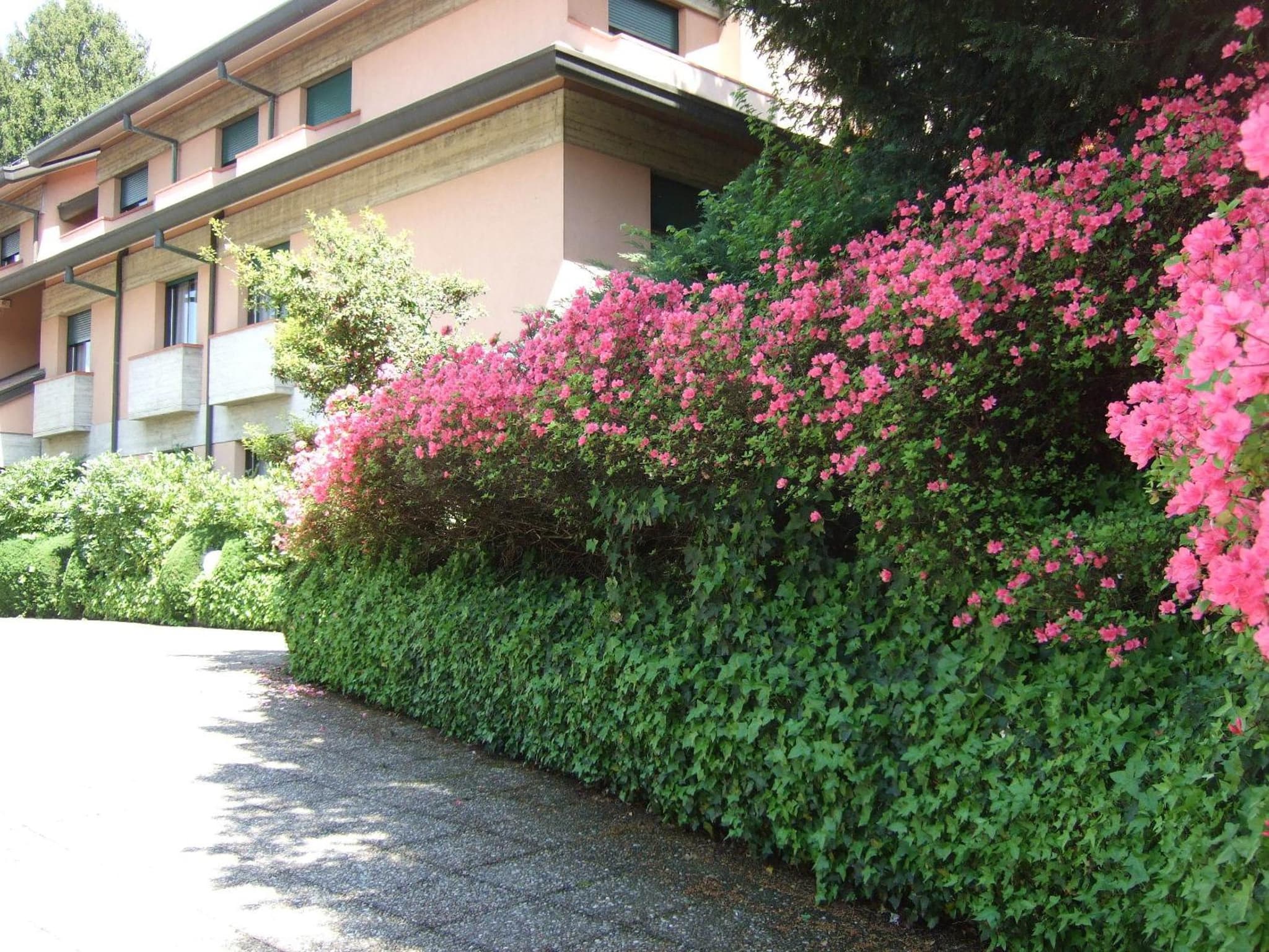 Hotel Canturio photo 3