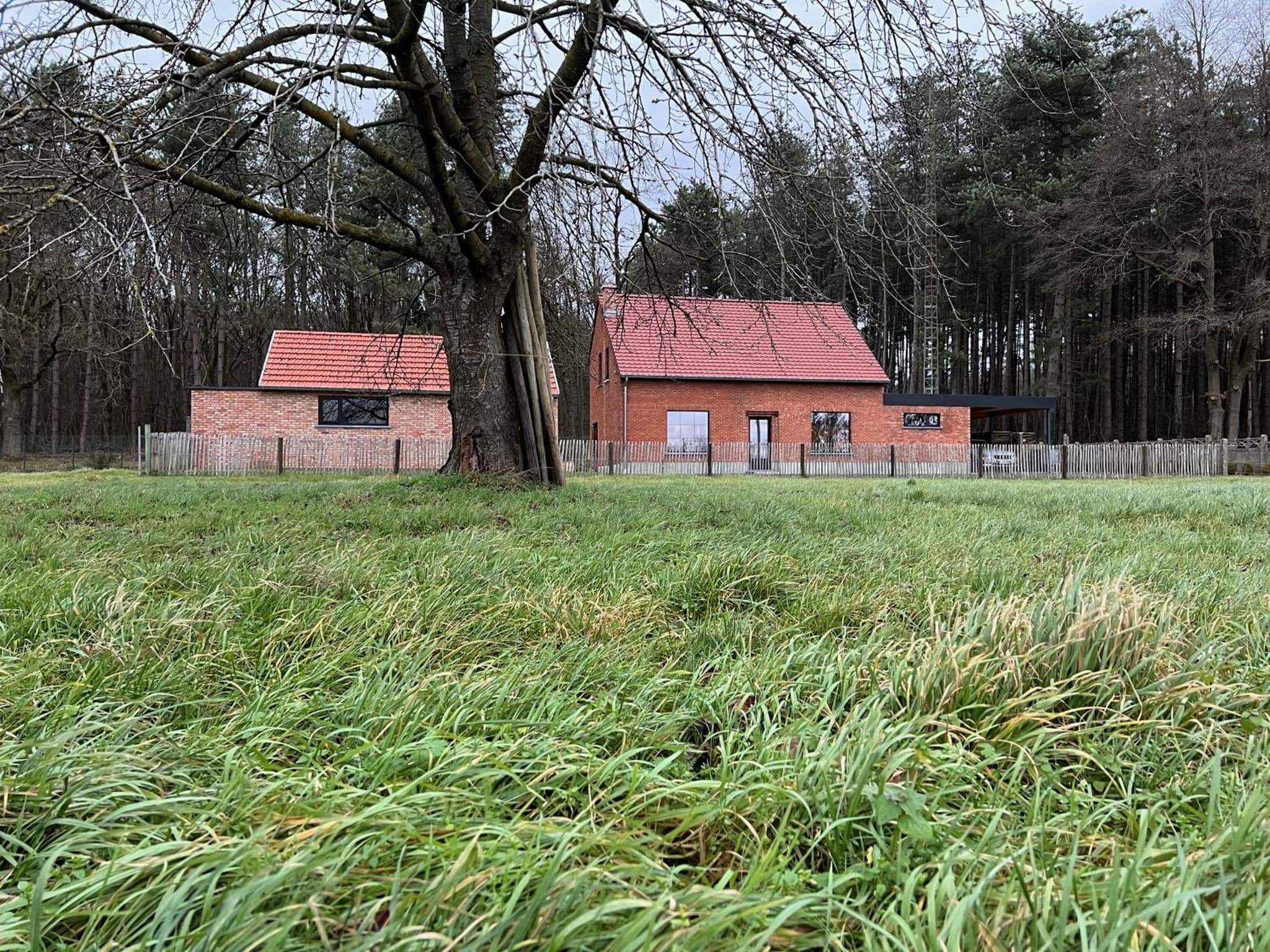 De Bovenbuur photo 4