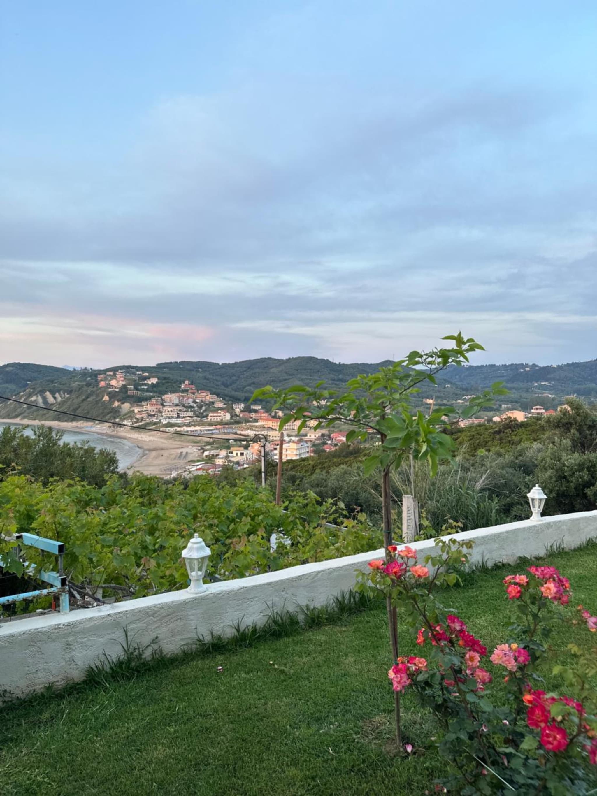Gikas Apartments photo 8