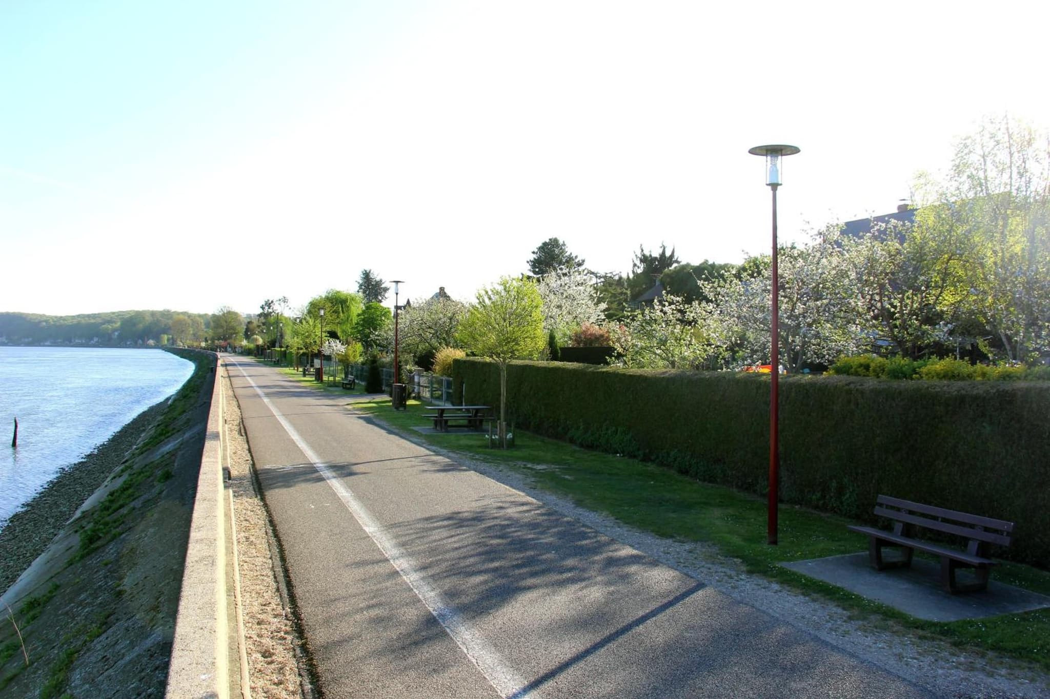 En Bord de Seine photo 3