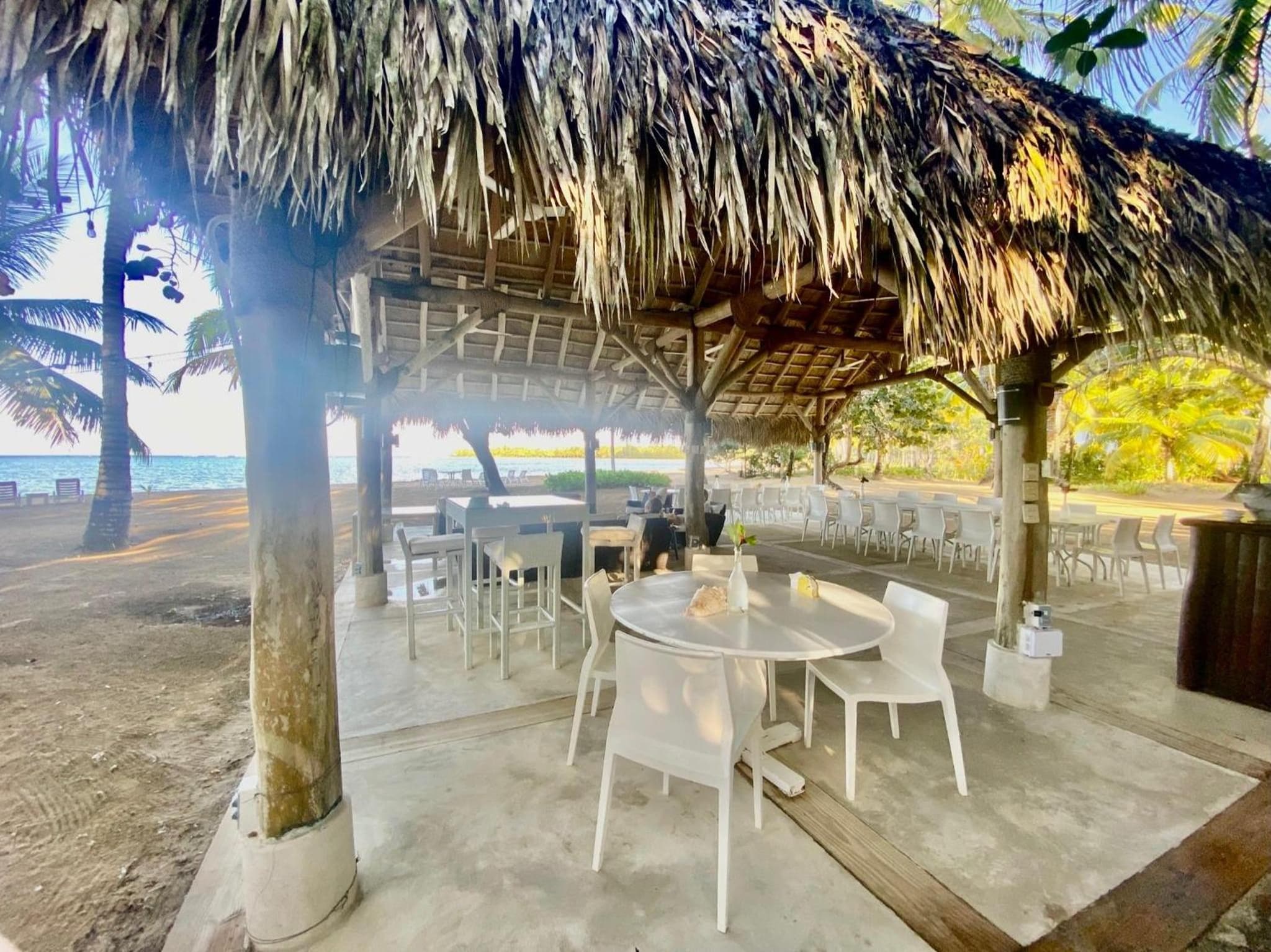 Stunning Beachfront Condo With Private Beach, Las Terrenas-El Limón photo 3