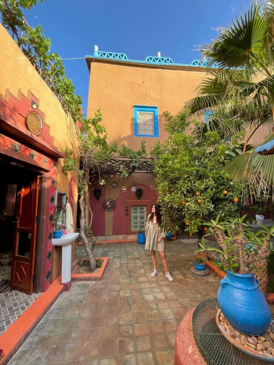 Riad Dades Birds photo 6