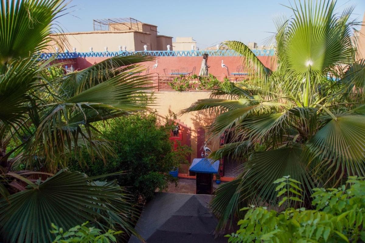Riad Dades Birds photo 8