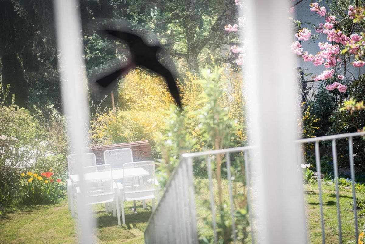 au jardin photo 3