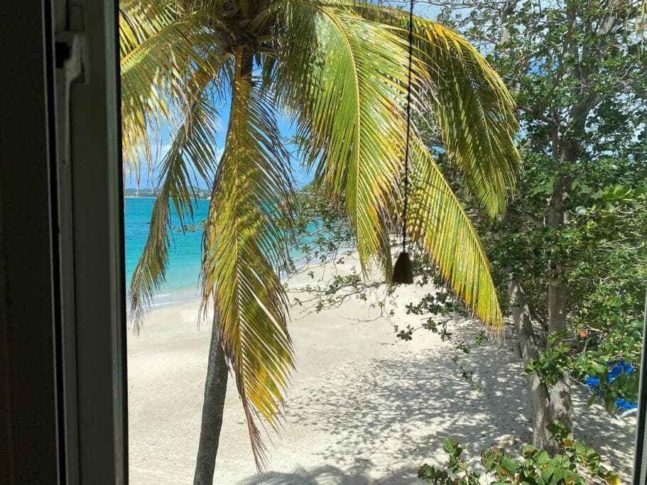 Breeze by the sea photo 4